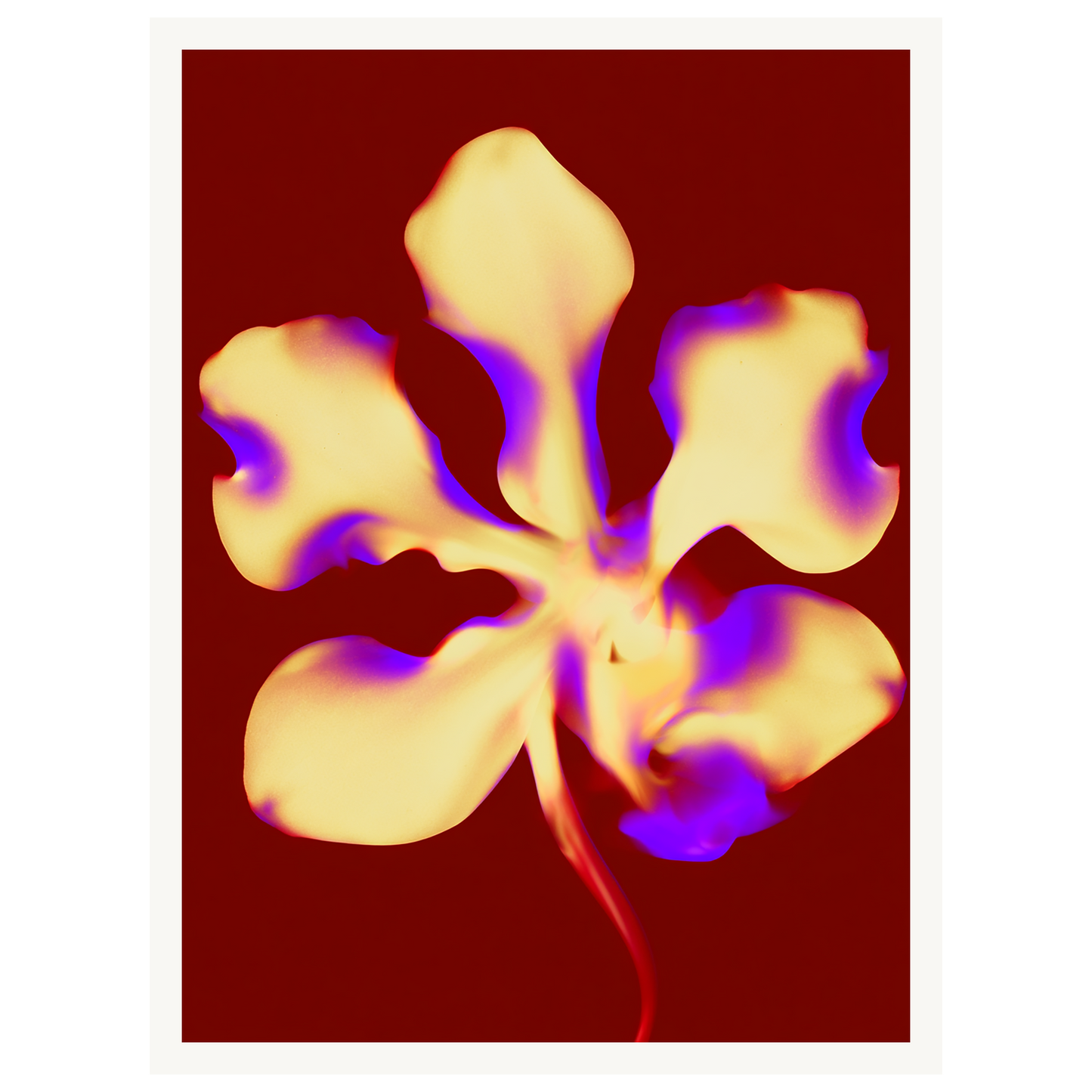 Golden Petal — s0_poster_none