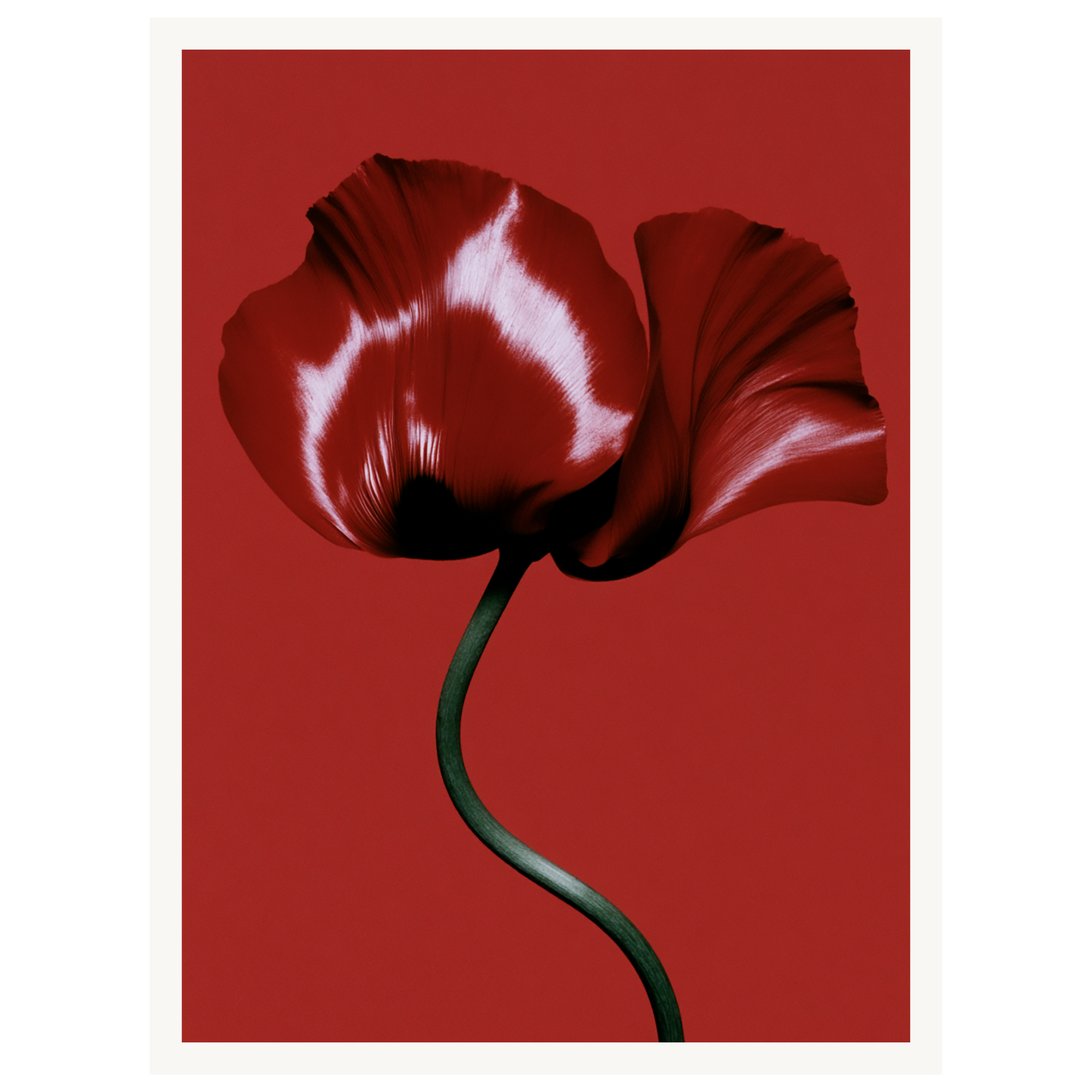 Velvet Poppy — s0_poster_none
