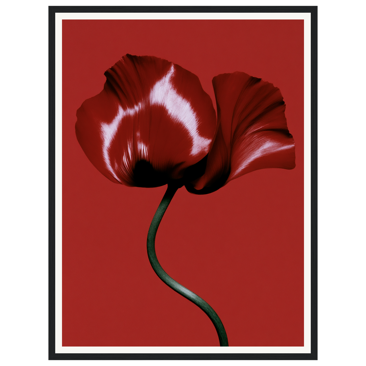 Velvet Poppy — s1_framed_black