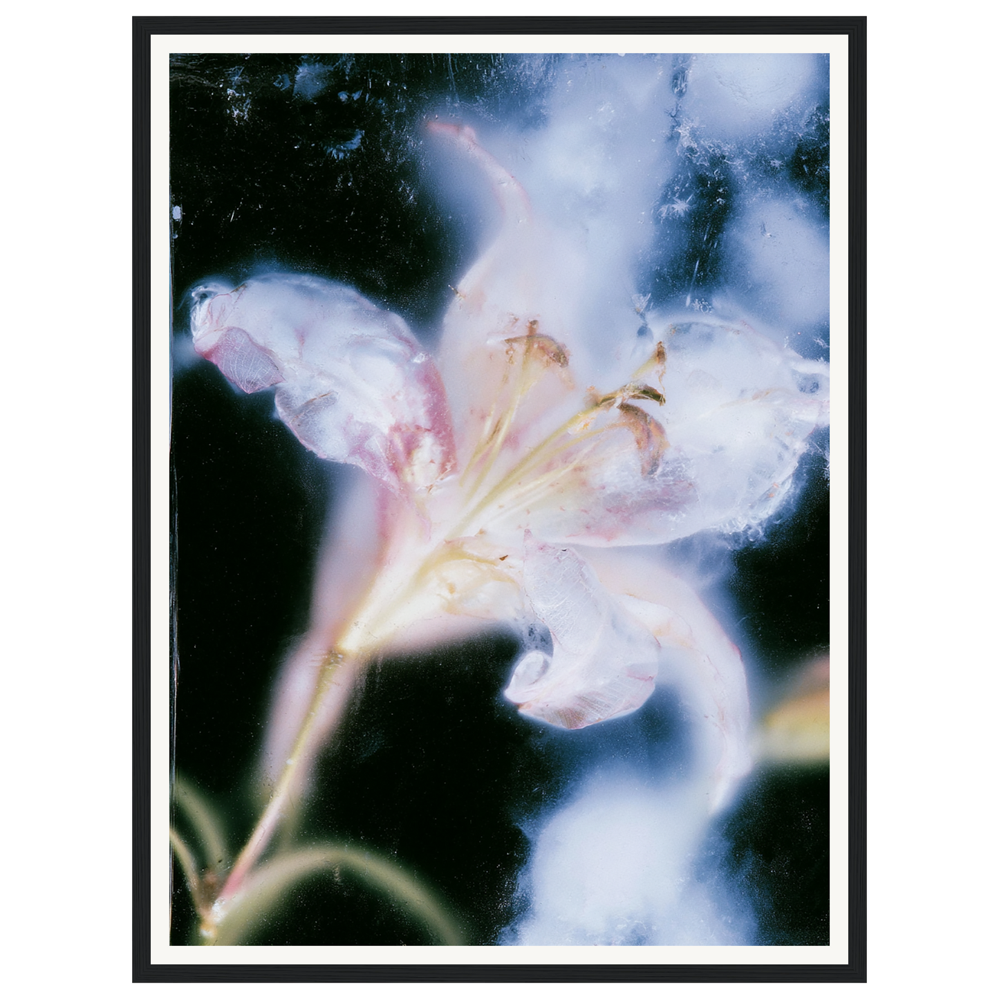 Soft Light — s1_framed_black