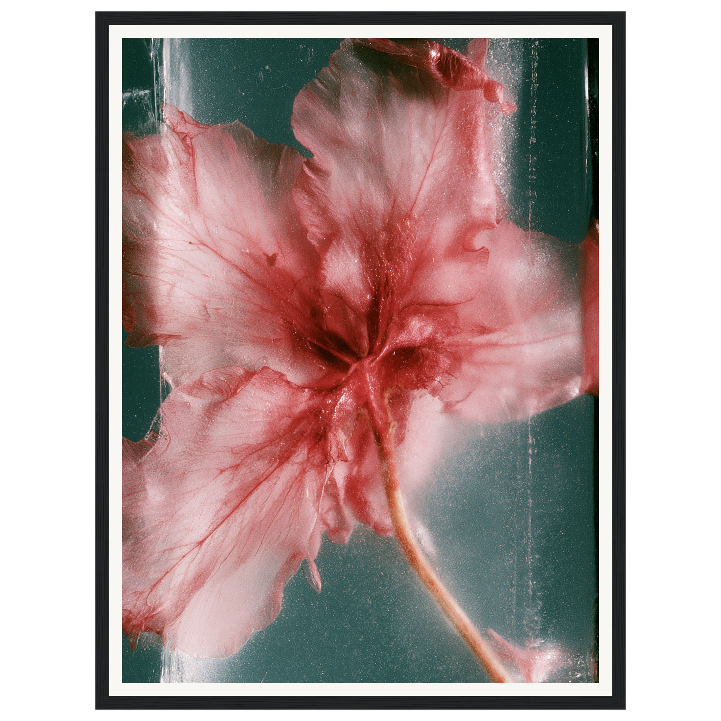 Wild Heart — s1_framed_black