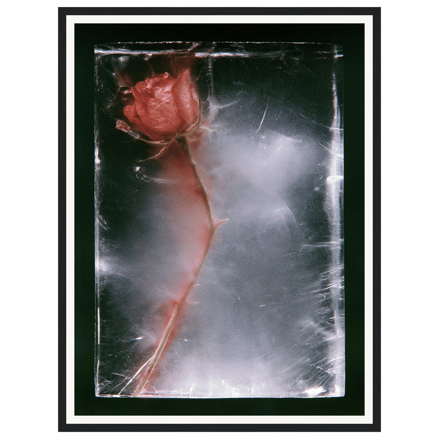 Quiet Fade — s1_framed_black