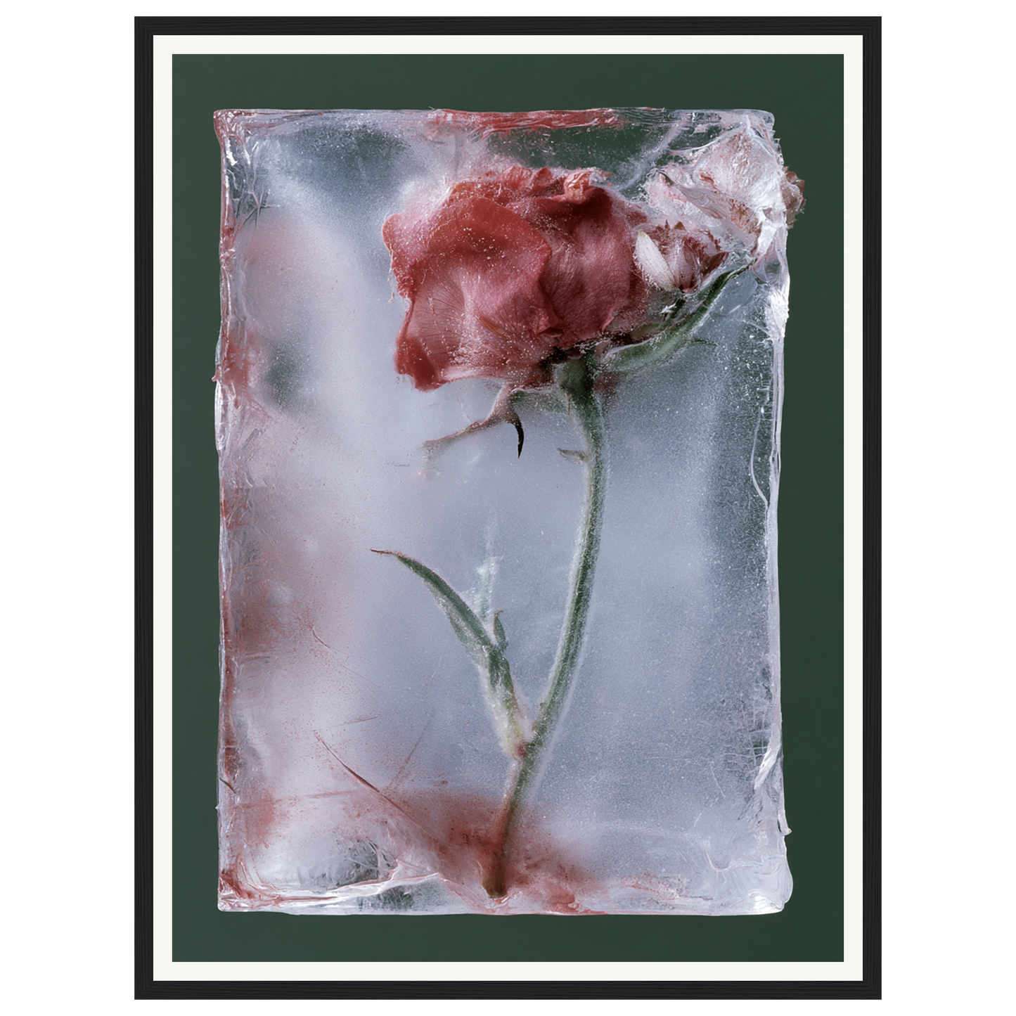 Last Bloom — s1_framed_black