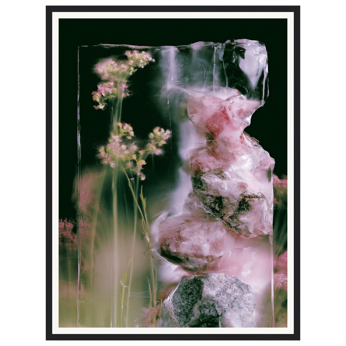 Frozen Whisper — s1_framed_black