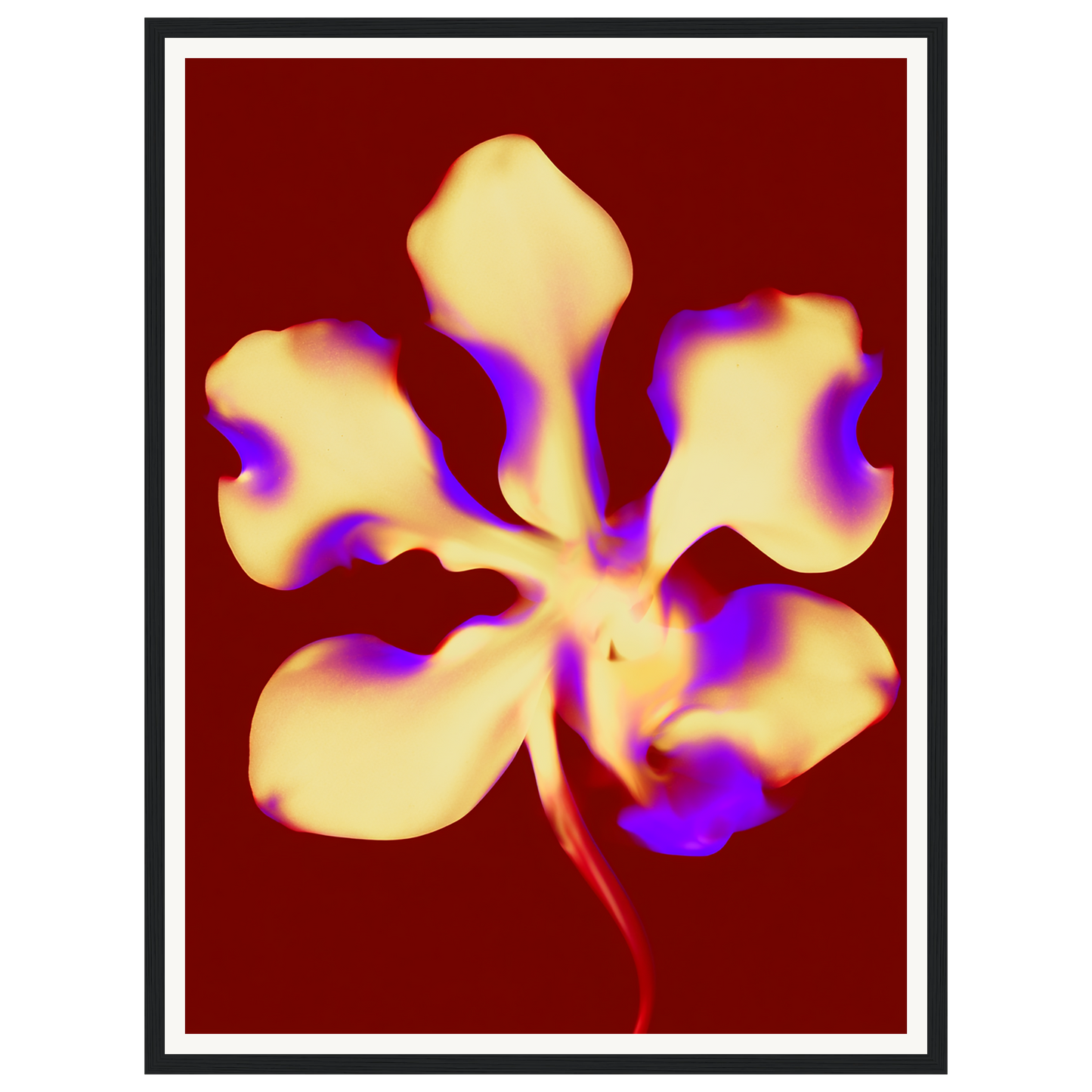 Golden Petal — s1_framed_black