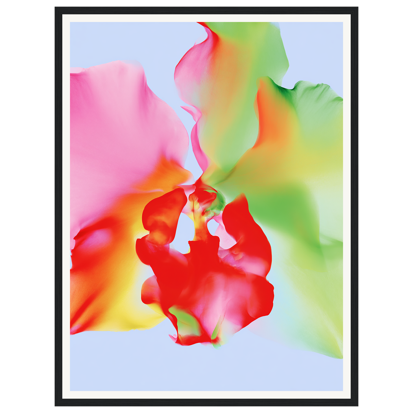 Soft Chaos — s1_framed_black