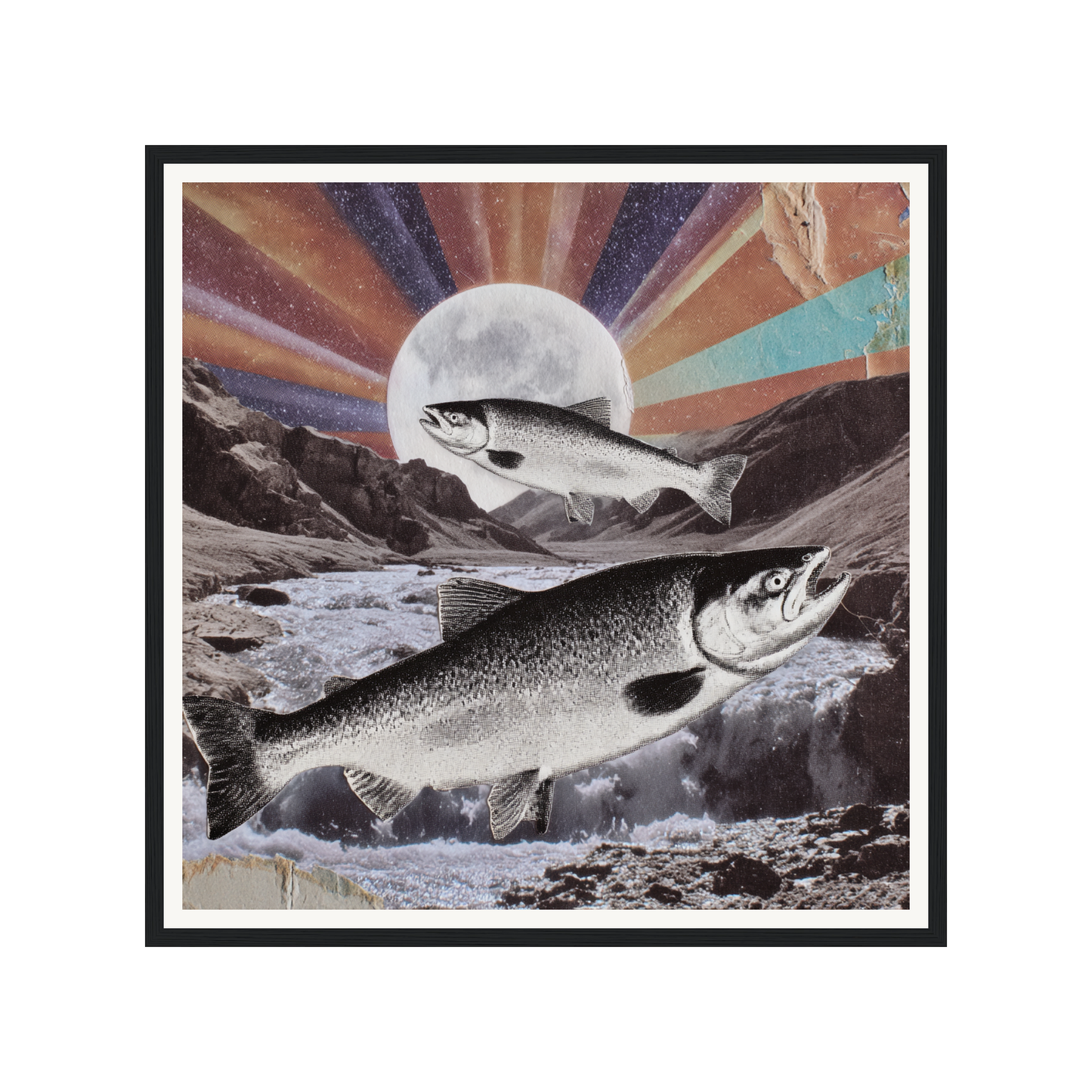 Wild Current — s1_framed_black