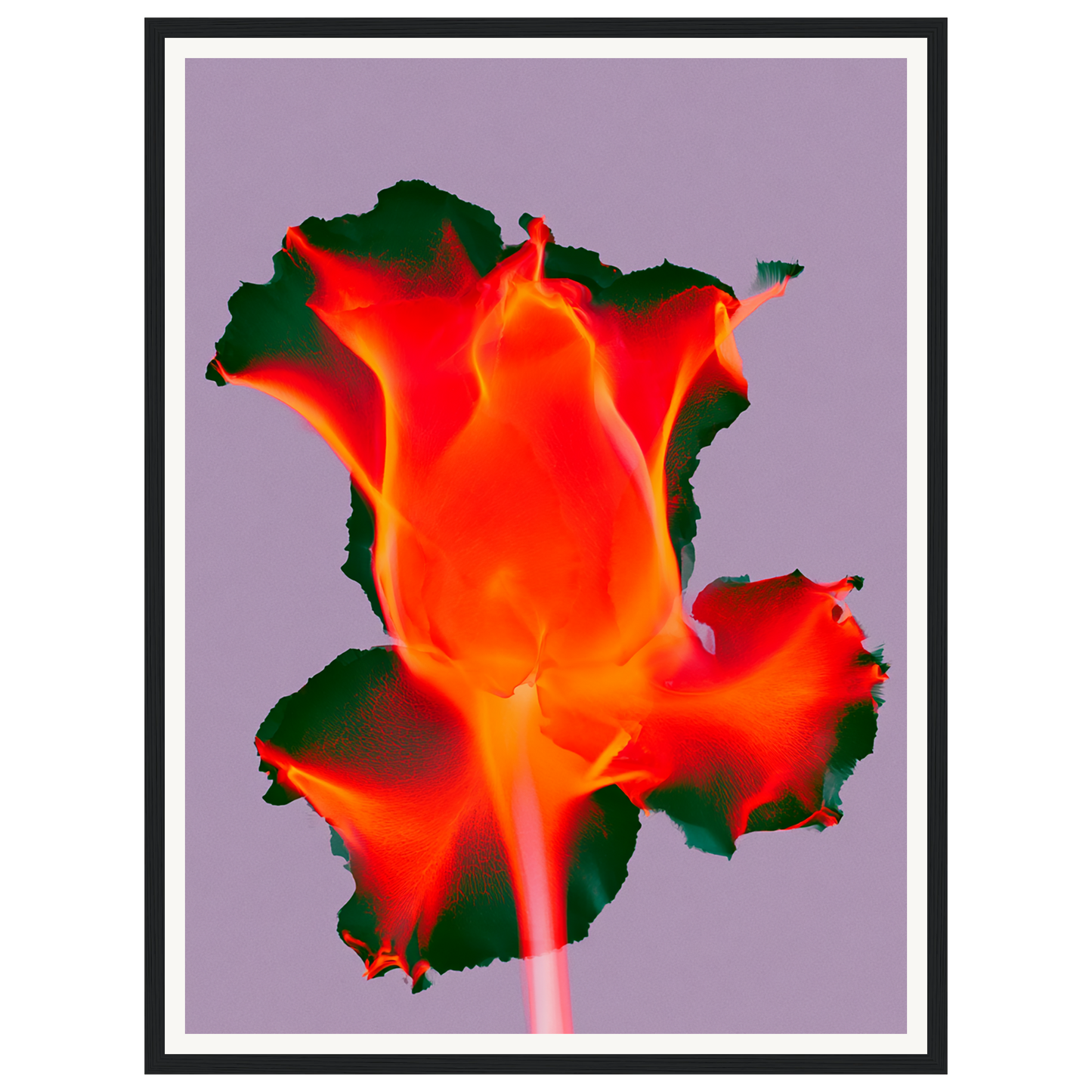 Ruby Glow — s1_framed_black
