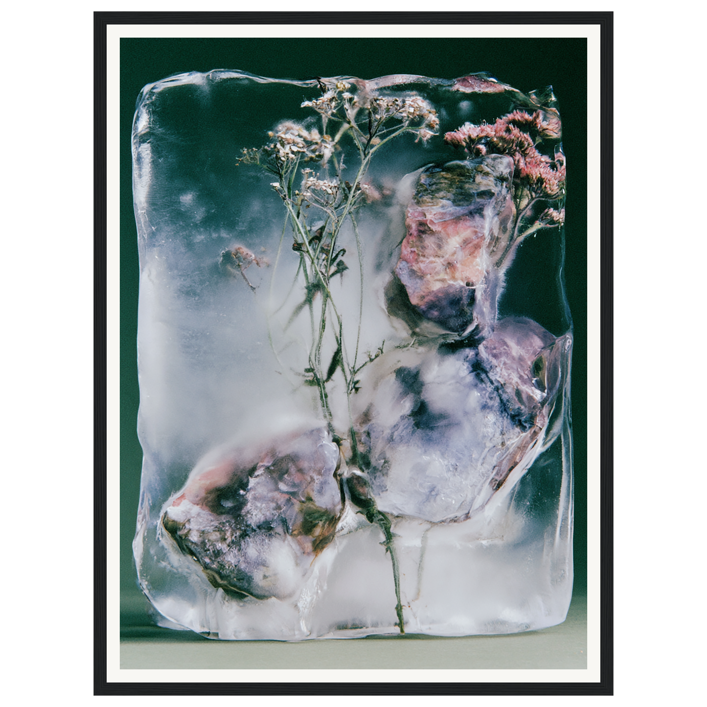 Winter Bloom — s1_framed_black