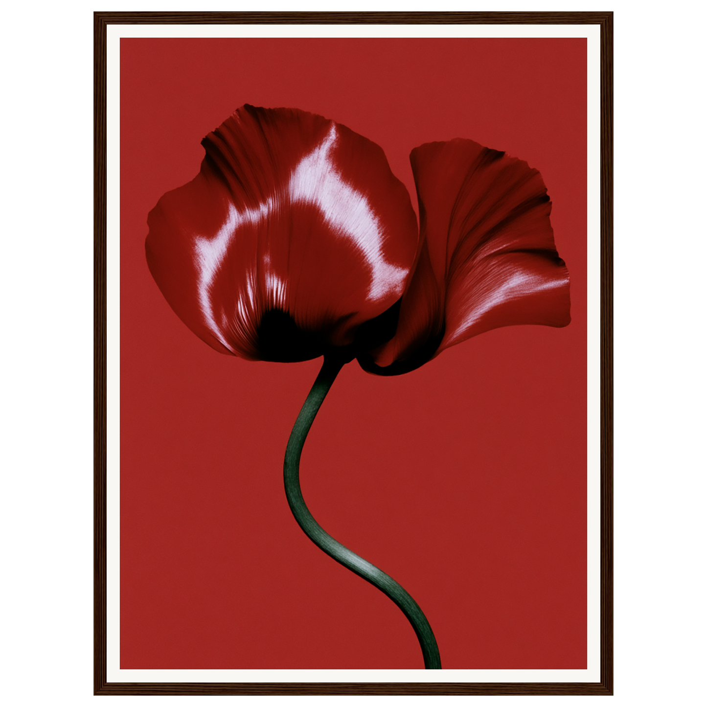 Velvet Poppy — s1_framed_dark_wood