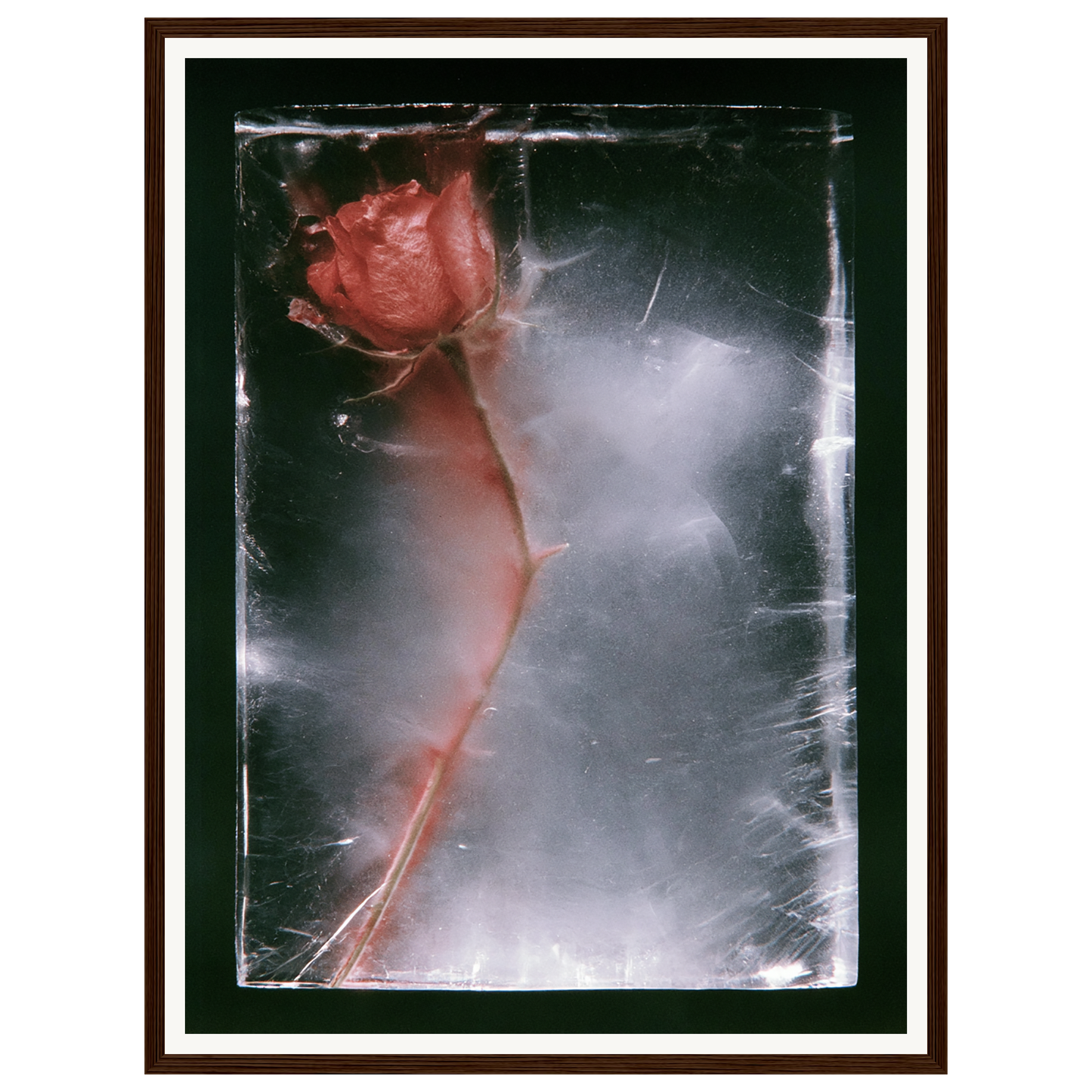 Quiet Fade — s1_framed_dark_wood
