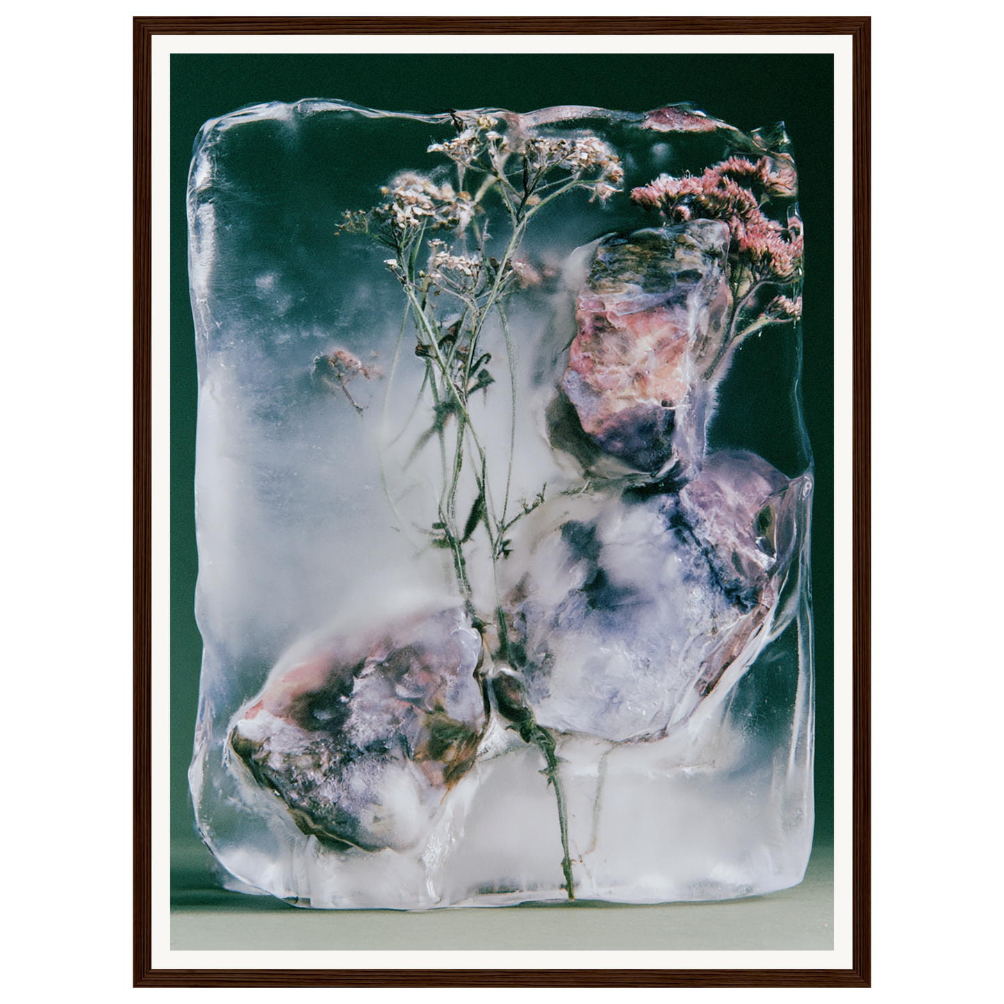 Winter Bloom — s1_framed_dark_wood