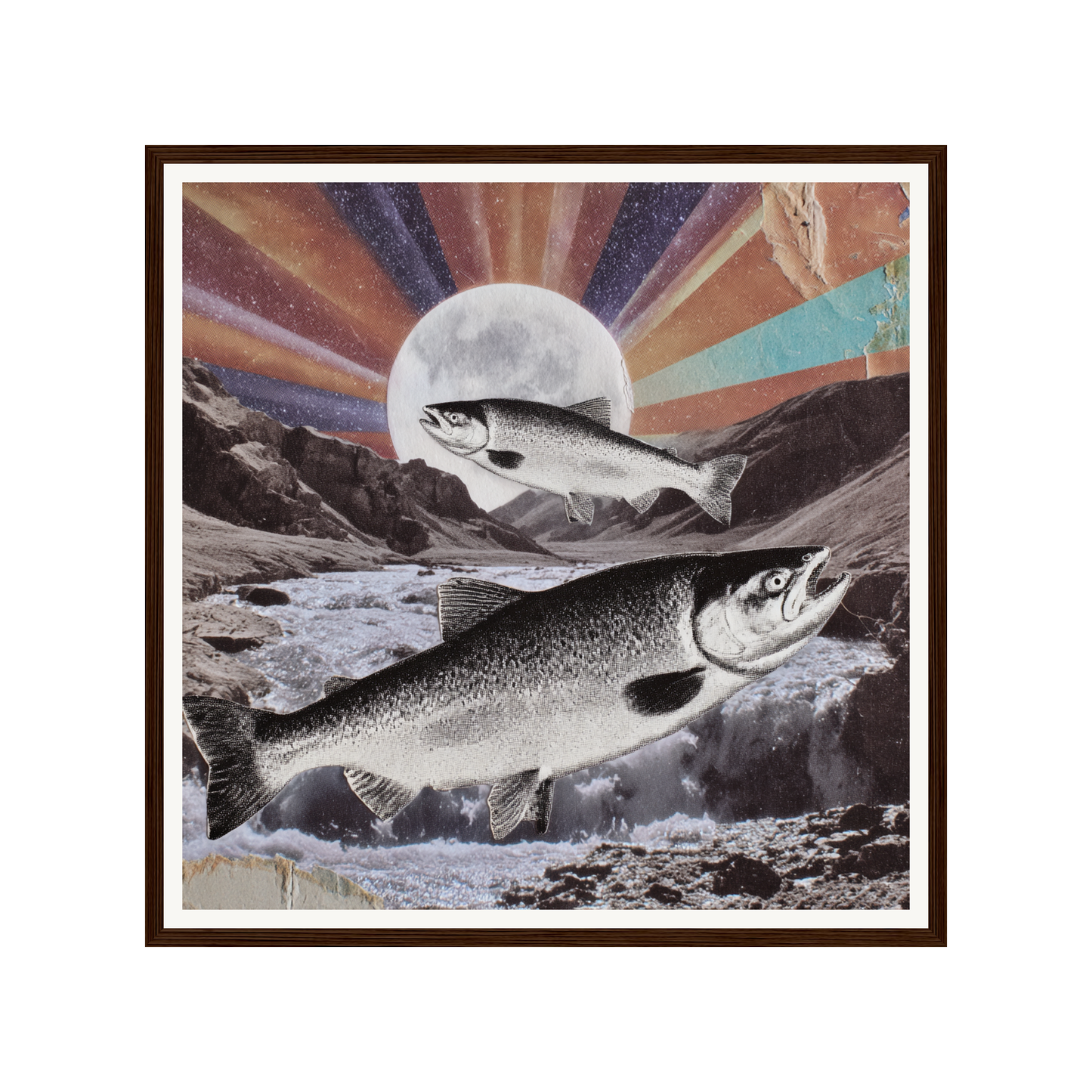 Wild Current — s1_framed_dark_wood