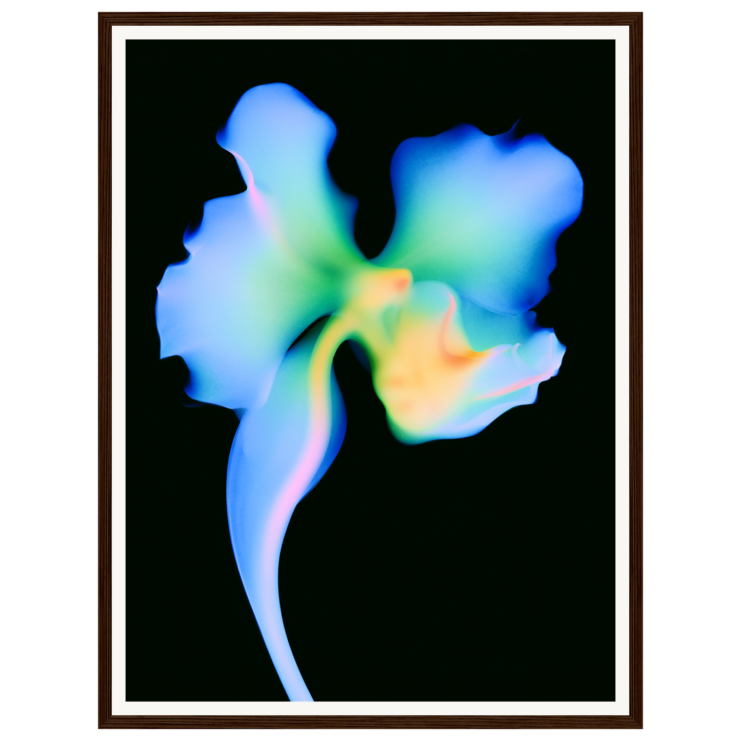 Electric Dream — s1_framed_dark_wood