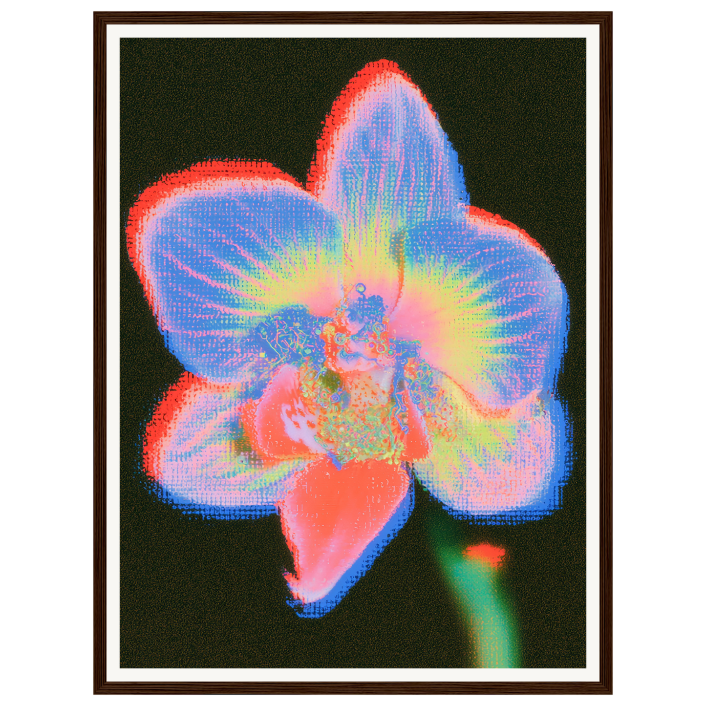 Radiant Orchid — s1_framed_dark_wood