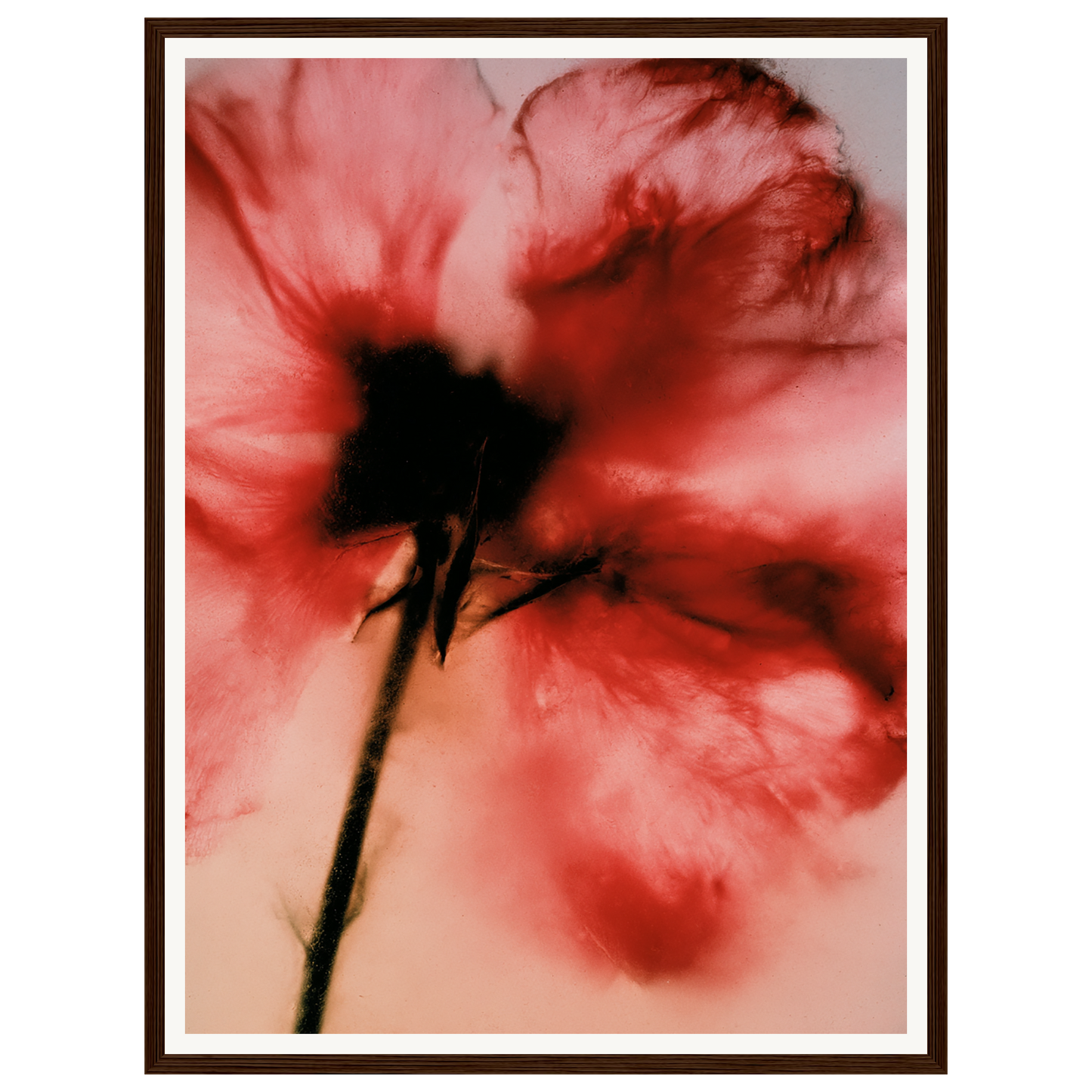 Crimson Whisper — s1_framed_dark_wood