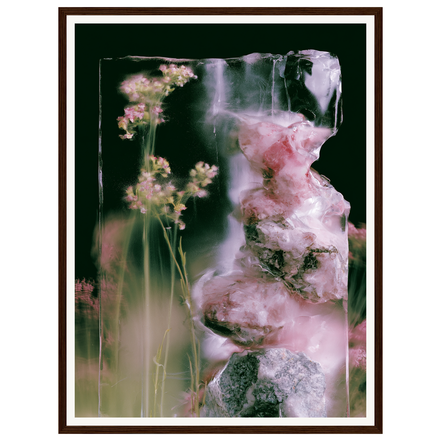 Frozen Whisper — s1_framed_dark_wood