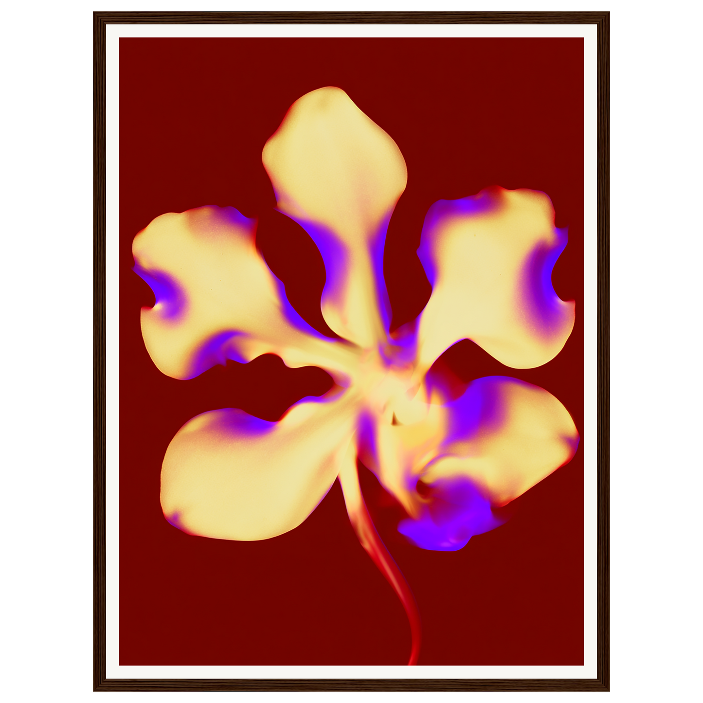 Golden Petal — s1_framed_dark_wood