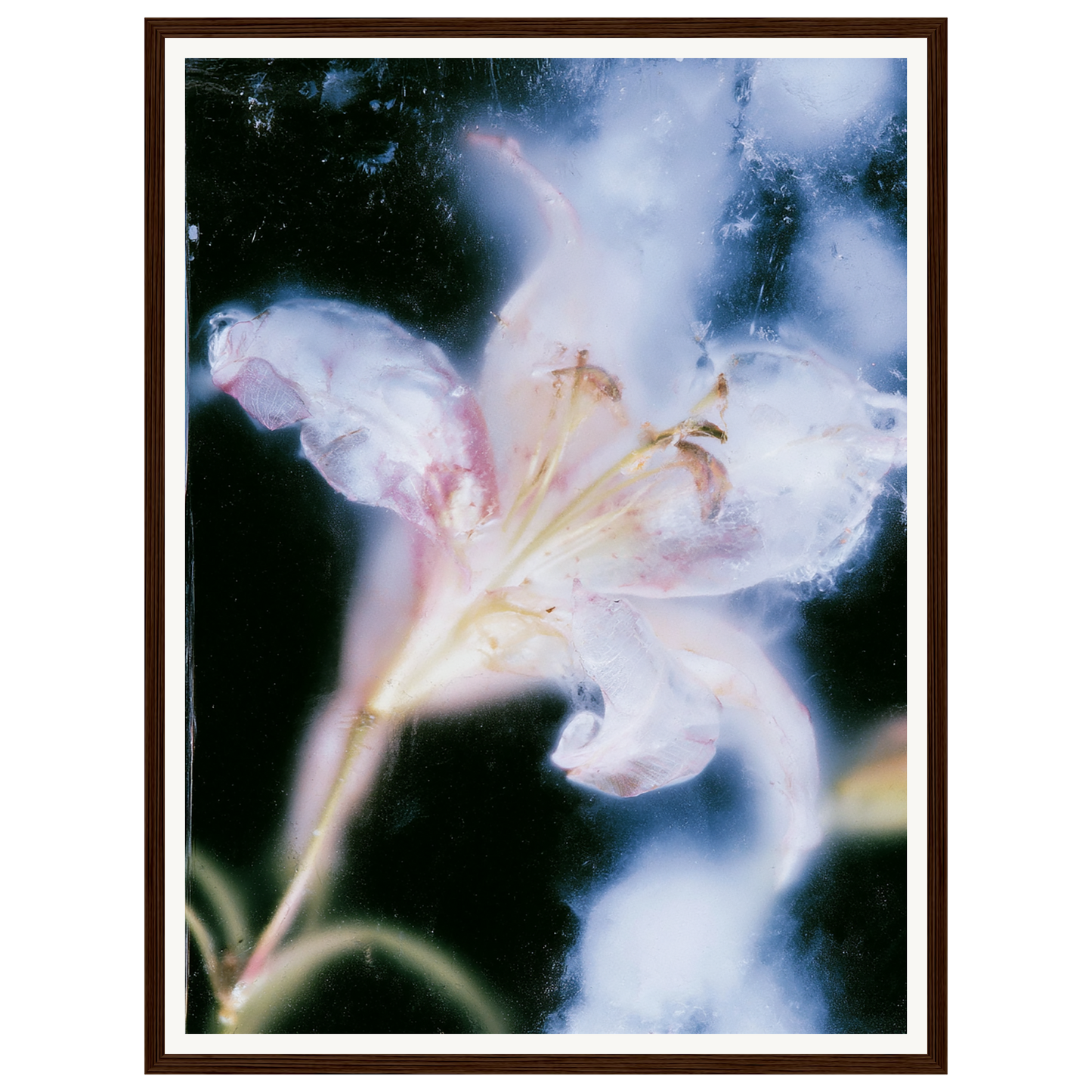 Soft Light — s1_framed_dark_wood