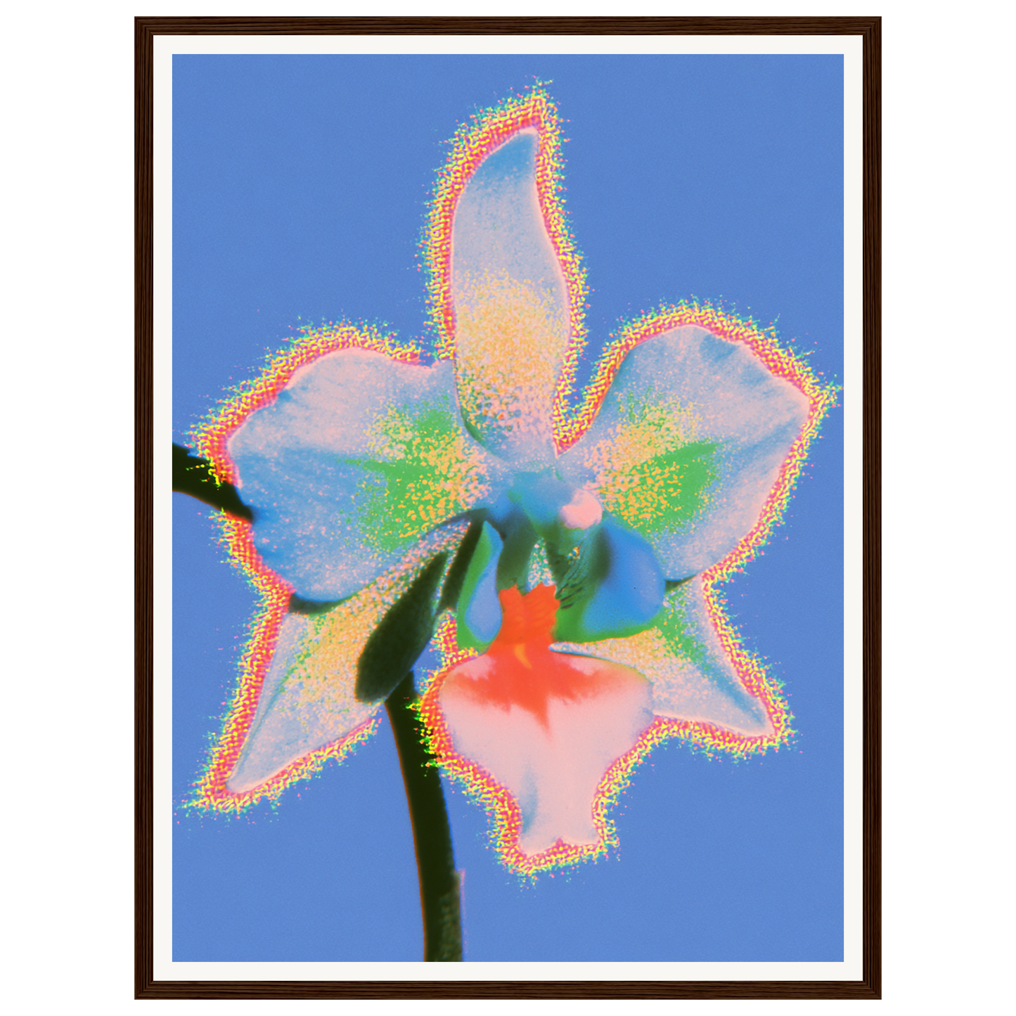 Pure Light — s1_framed_dark_wood