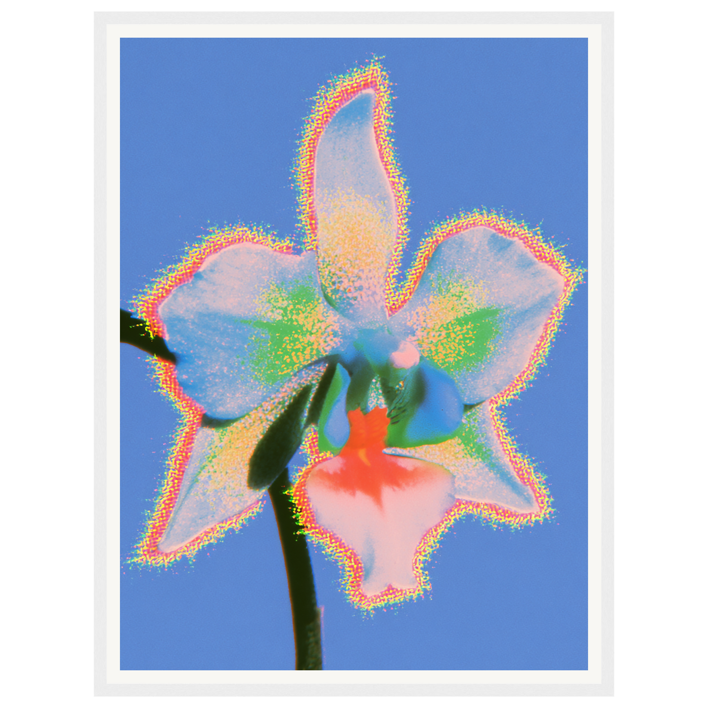 Pure Light — s1_framed_white