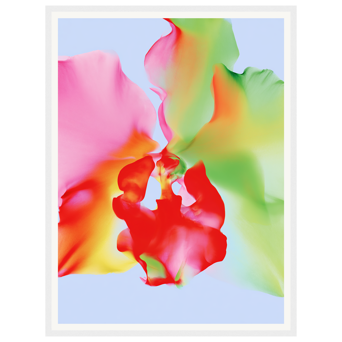 Soft Chaos — s1_framed_white
