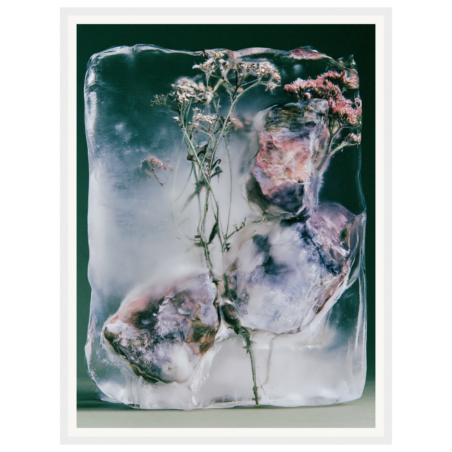 Winter Bloom — s1_framed_white