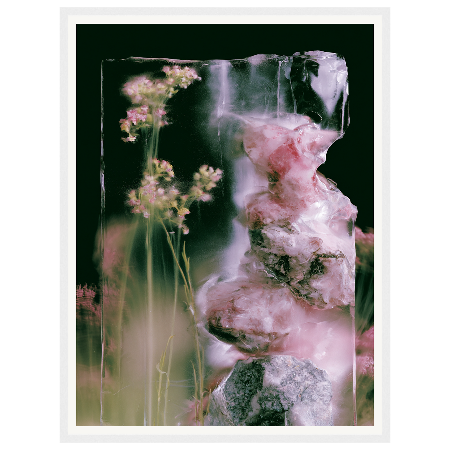 Frozen Whisper — s1_framed_white