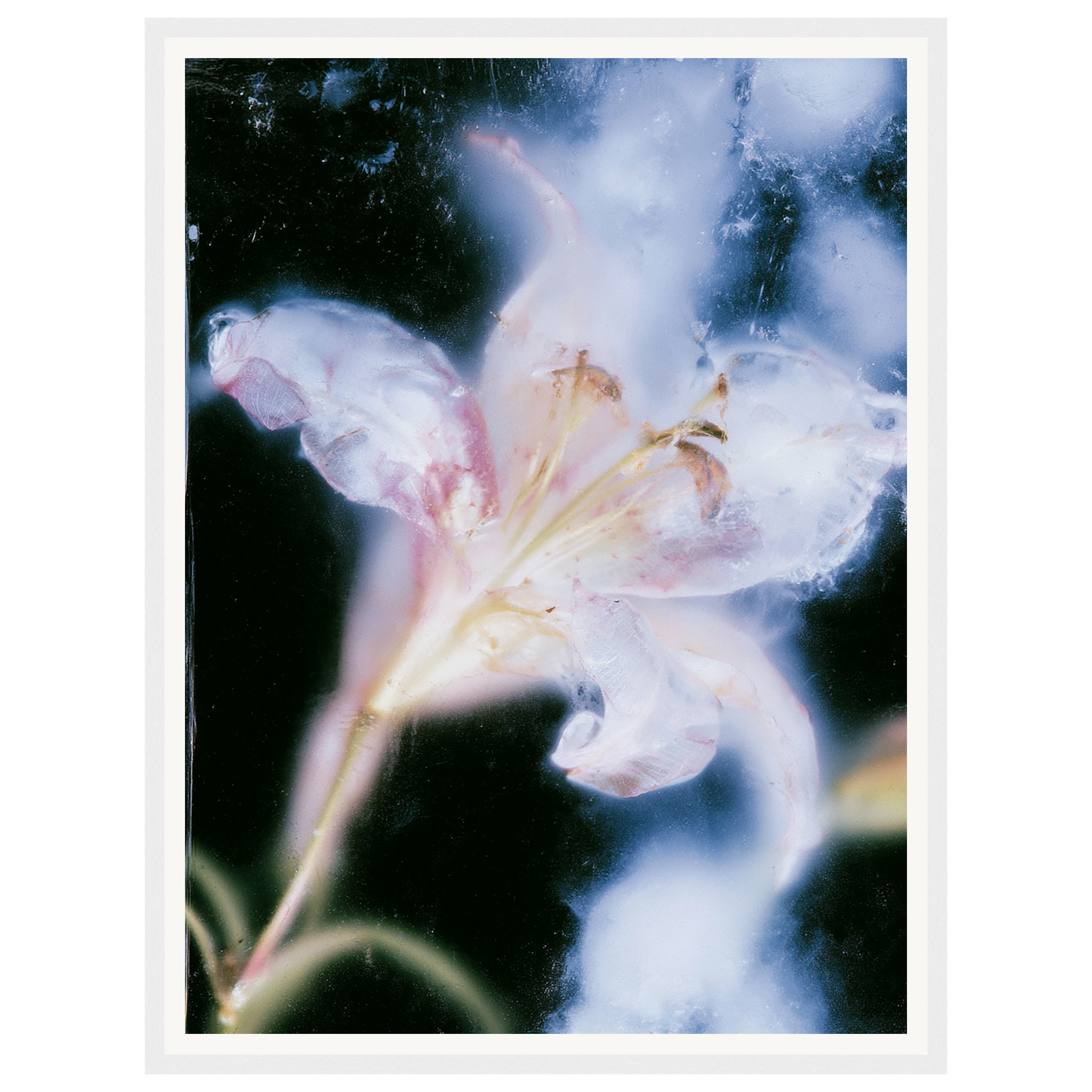 Soft Light — s1_framed_white