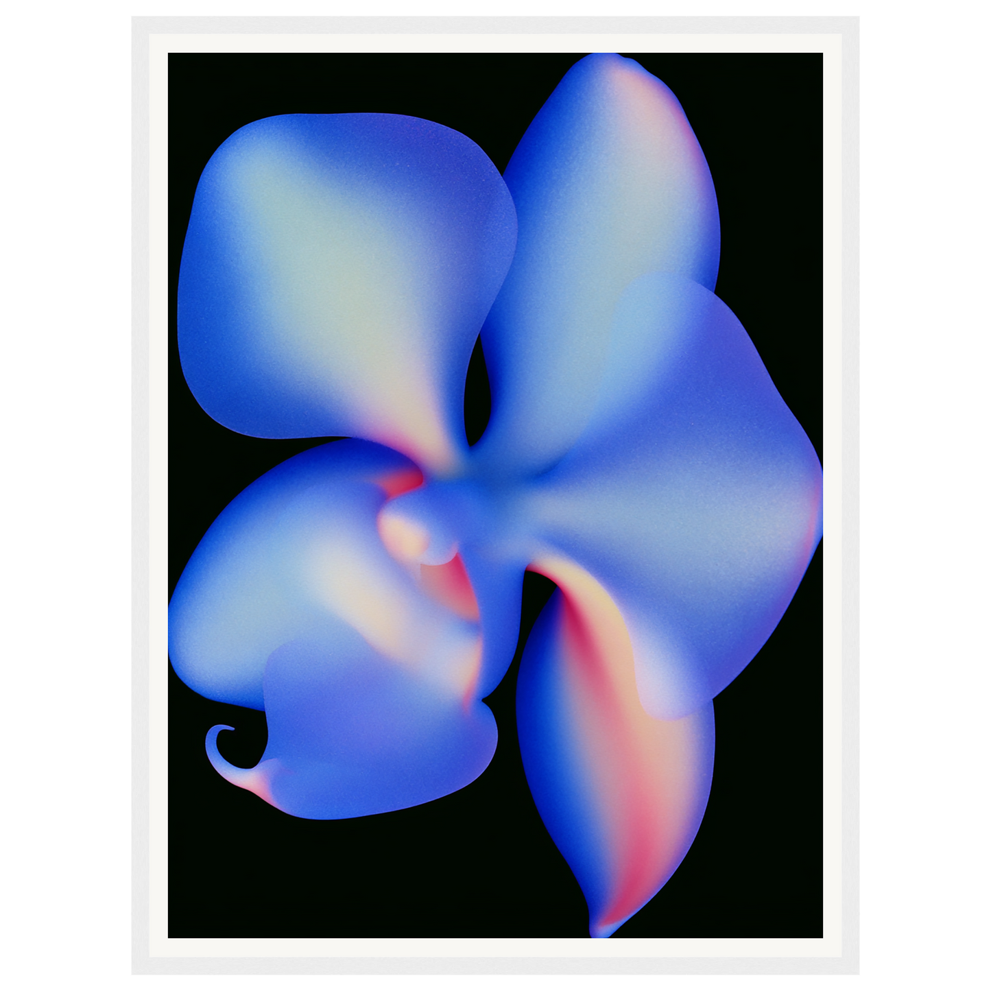 Twilight Orchid — s1_framed_white