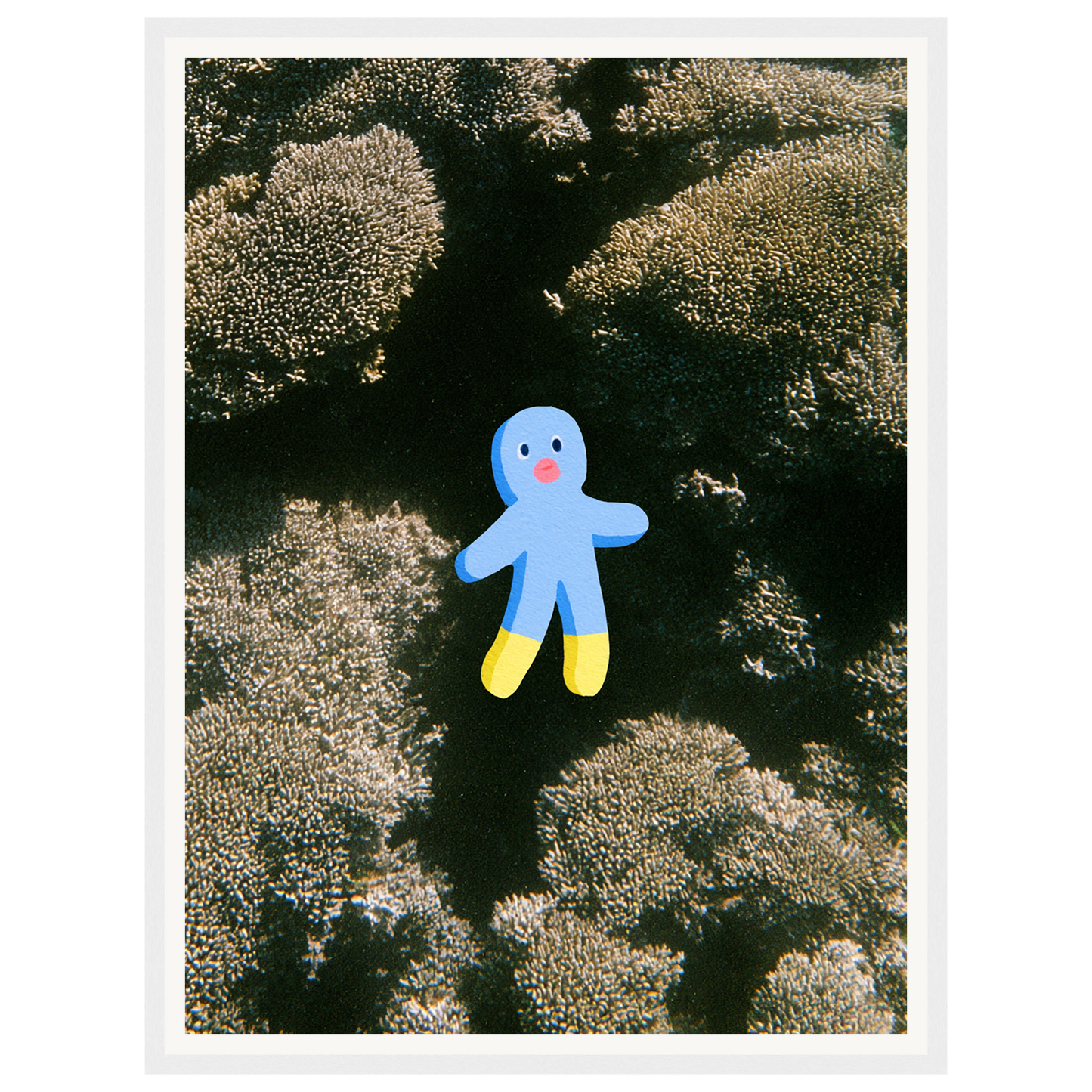 Ocean Wonder — s1_framed_white
