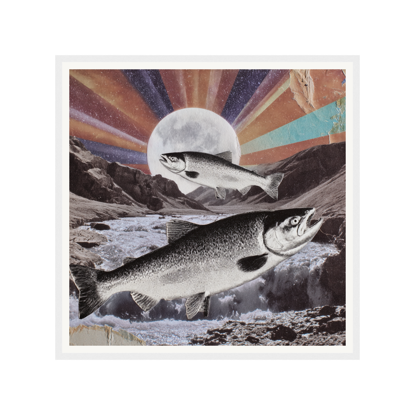 Wild Current — s1_framed_white