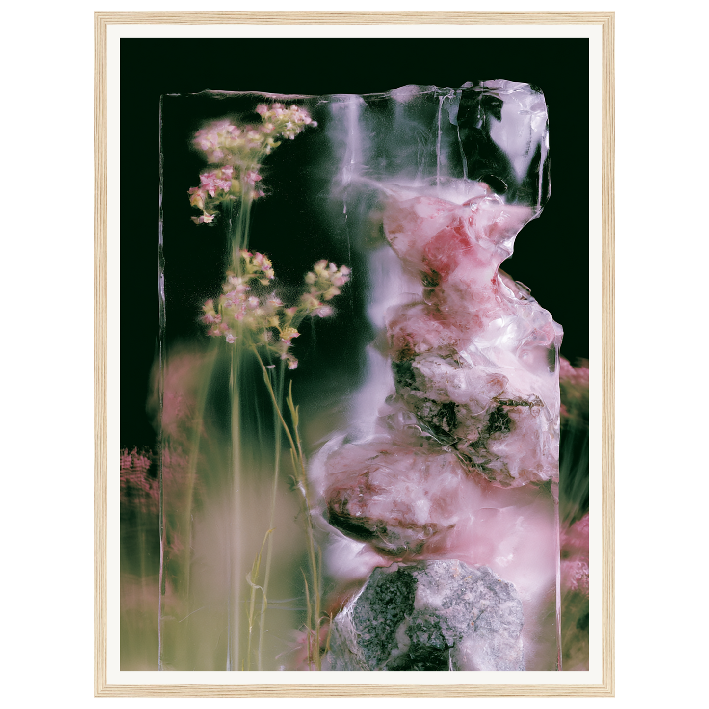 Frozen Whisper — s1_framed_wood