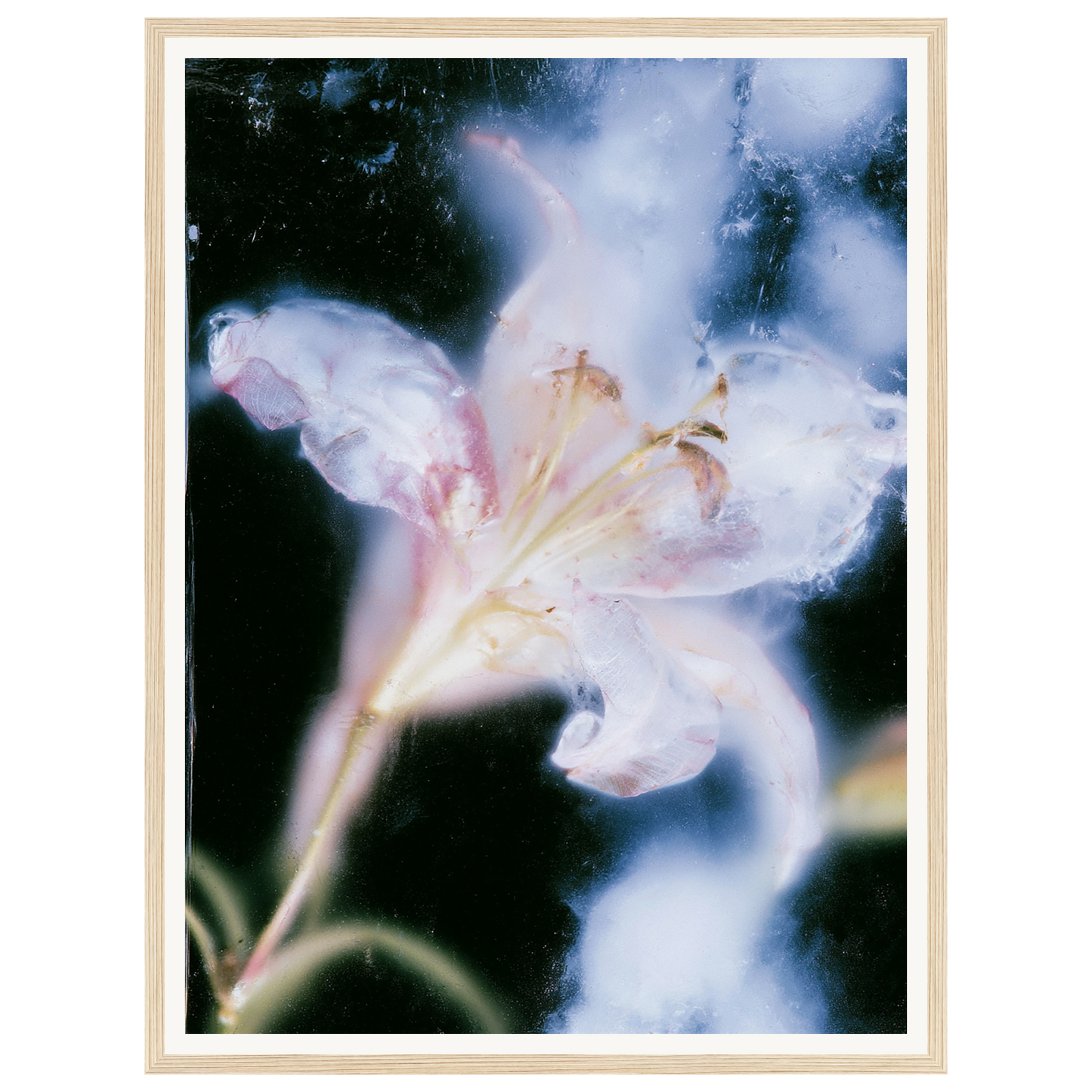 Soft Light — s1_framed_wood