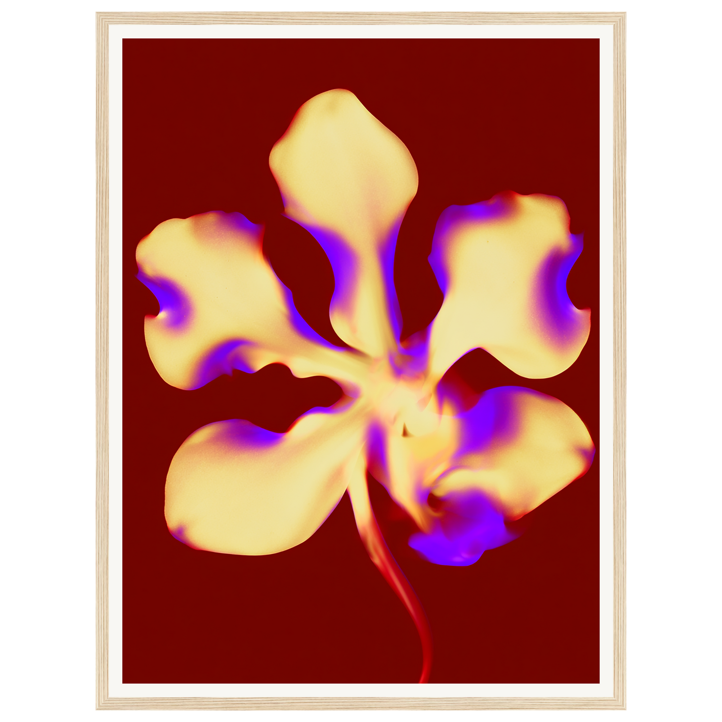 Golden Petal — s1_framed_wood