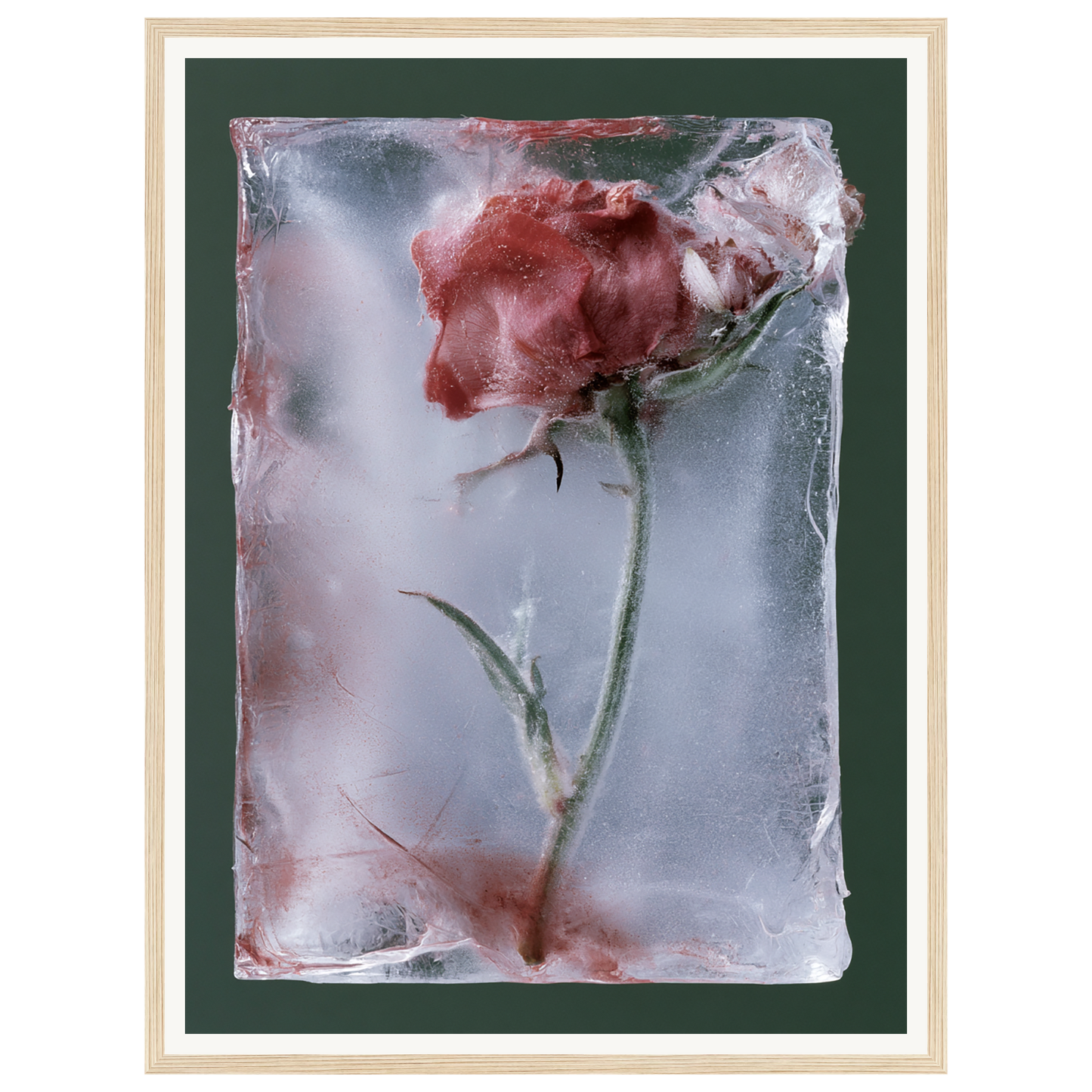 Last Bloom — s1_framed_wood
