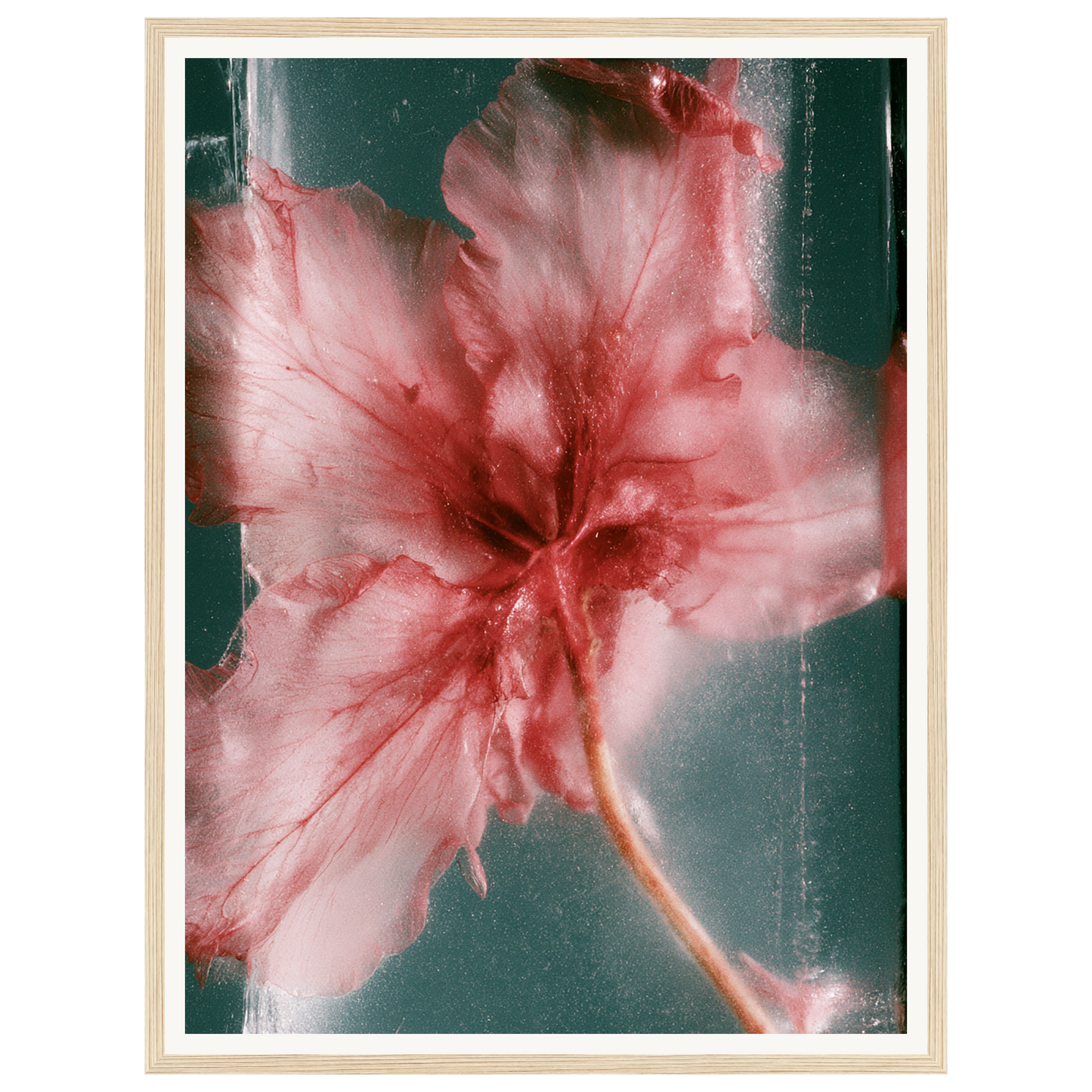 Wild Heart — s1_framed_wood