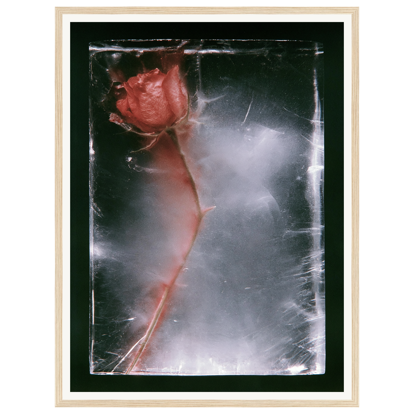 Quiet Fade — s1_framed_wood