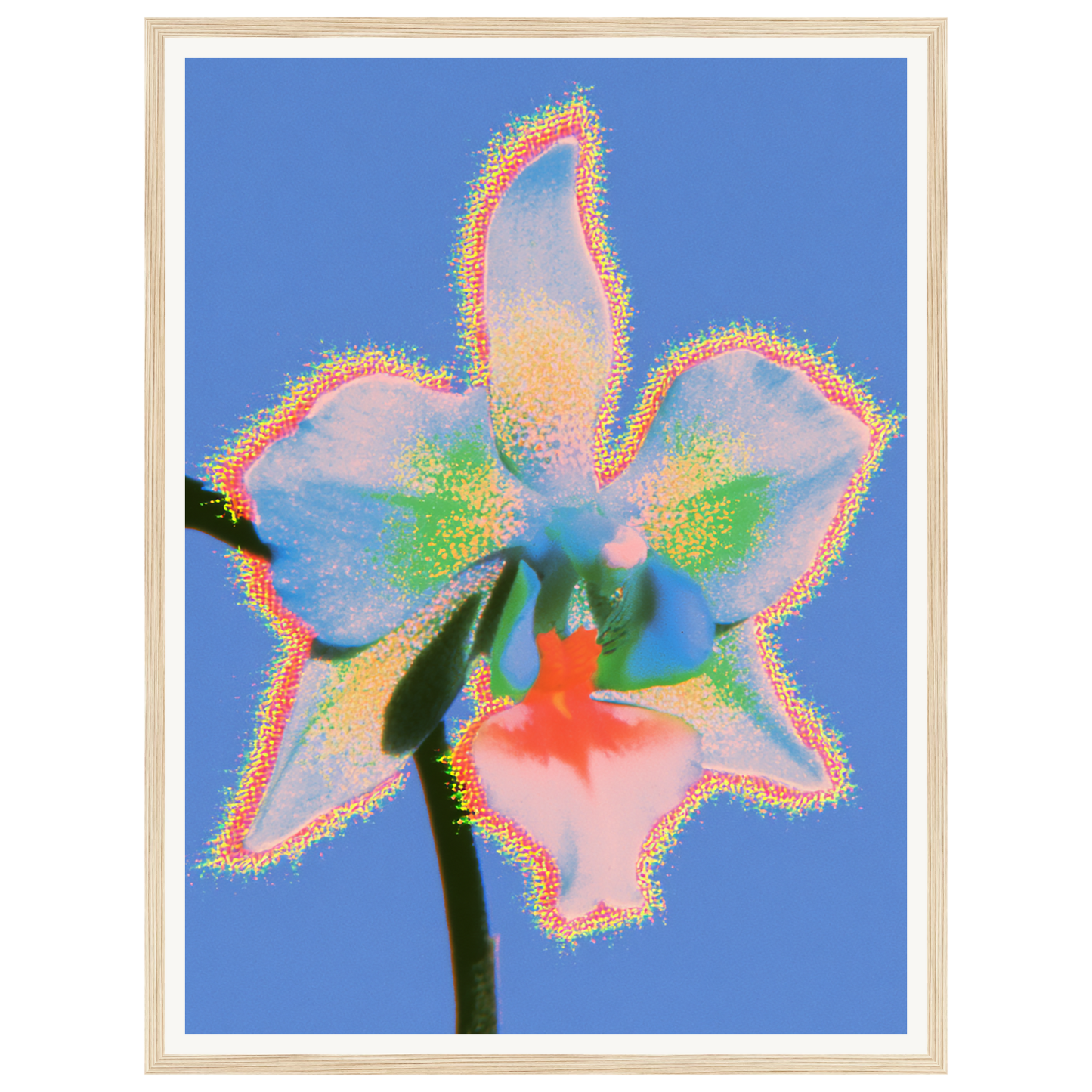Pure Light — s1_framed_wood