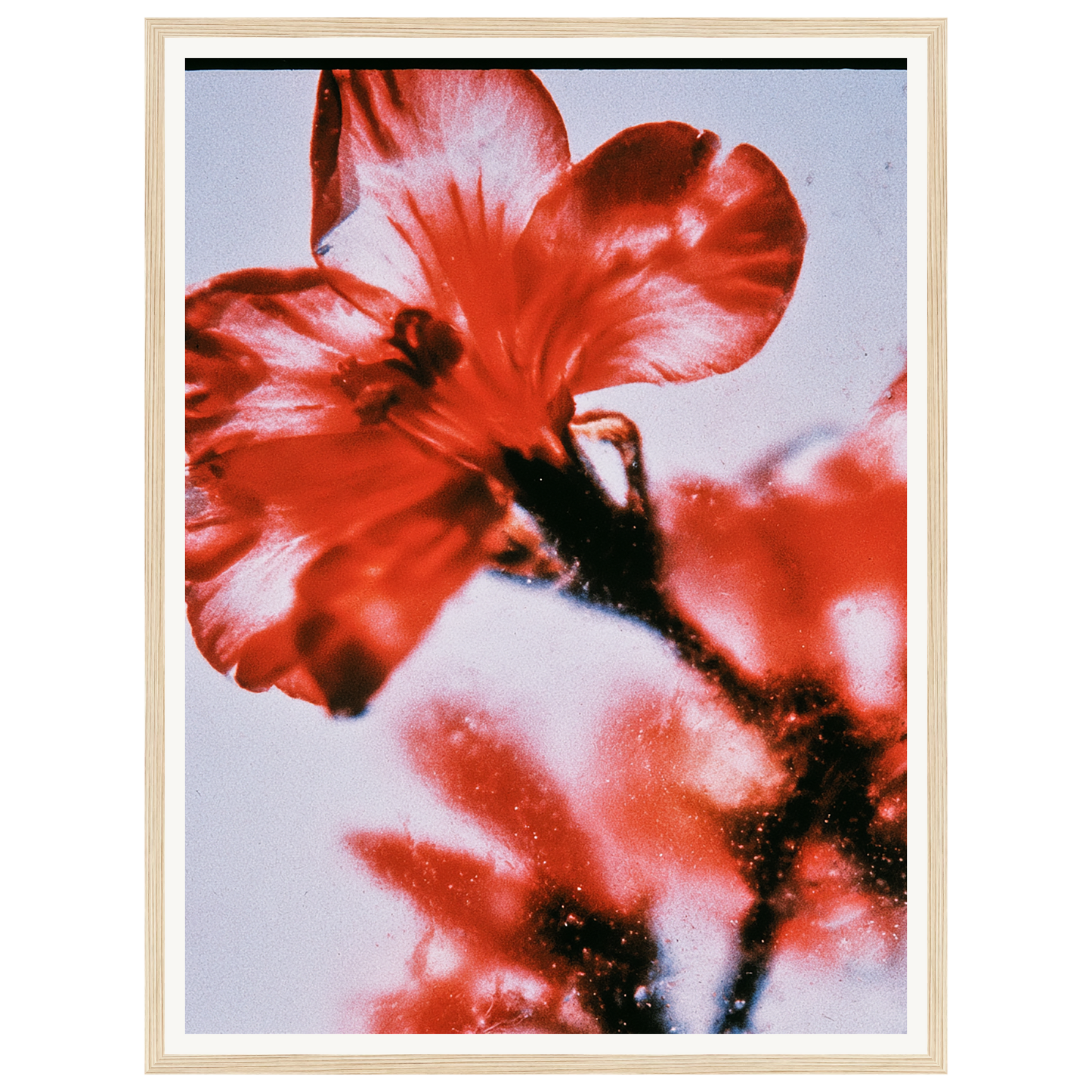 Wild Fire — s1_framed_wood