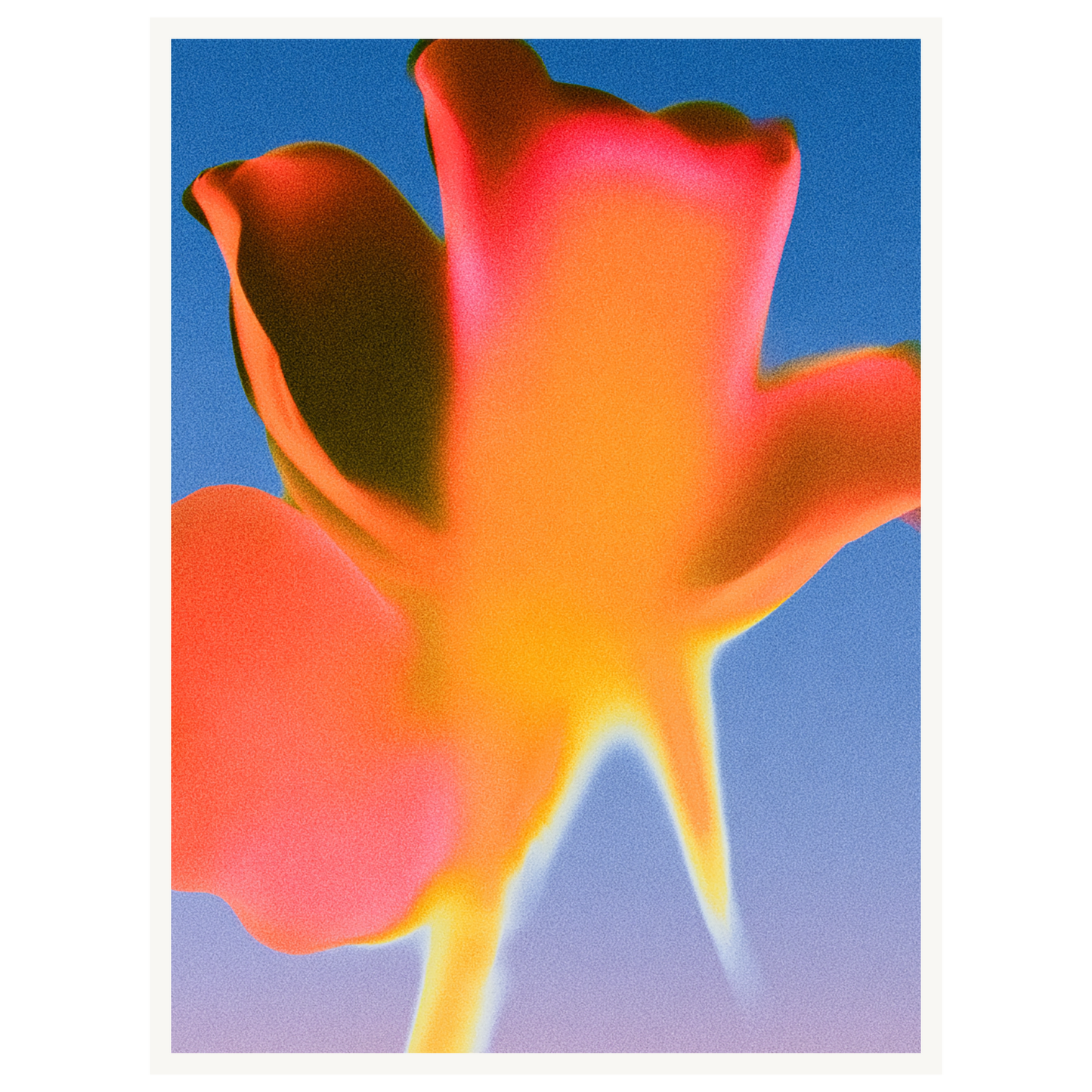 Sunset Glow — s1_poster_none