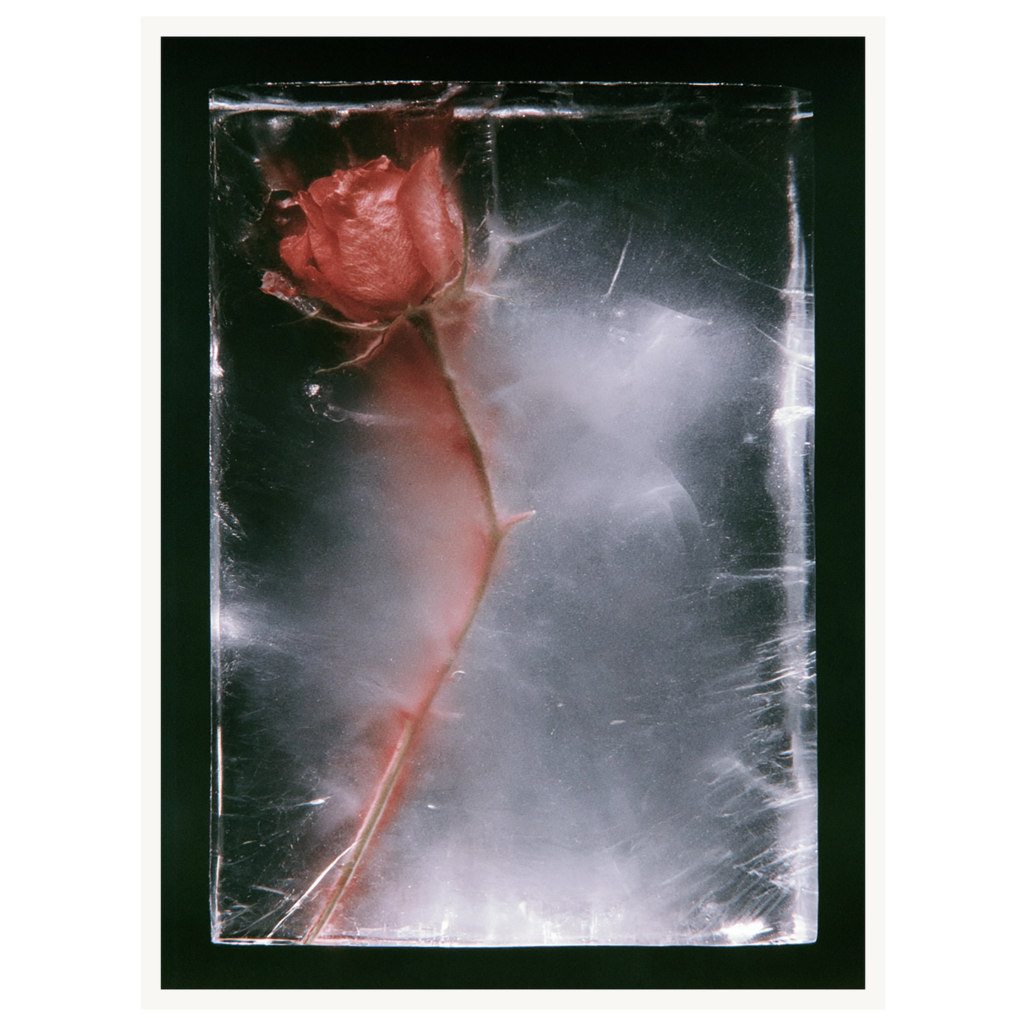 Quiet Fade — s1_poster_none
