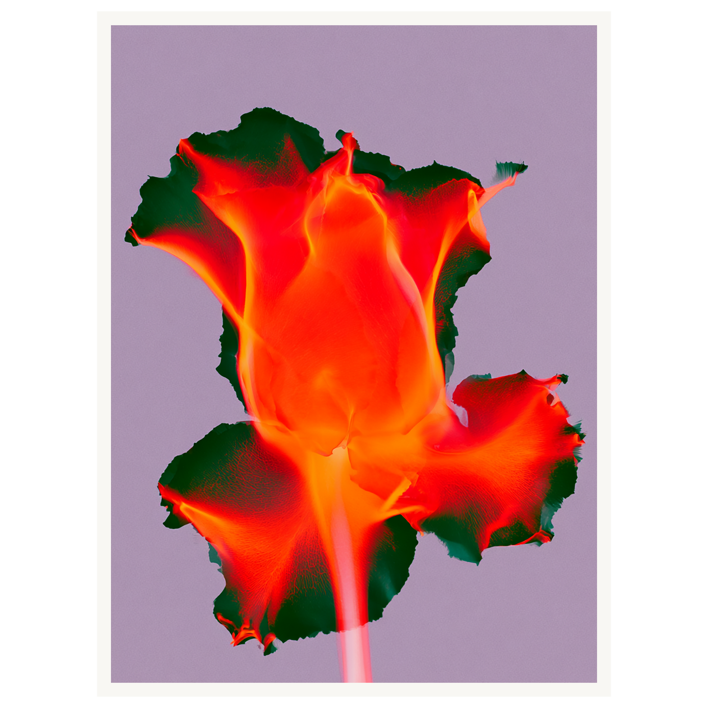 Ruby Glow — s1_poster_none