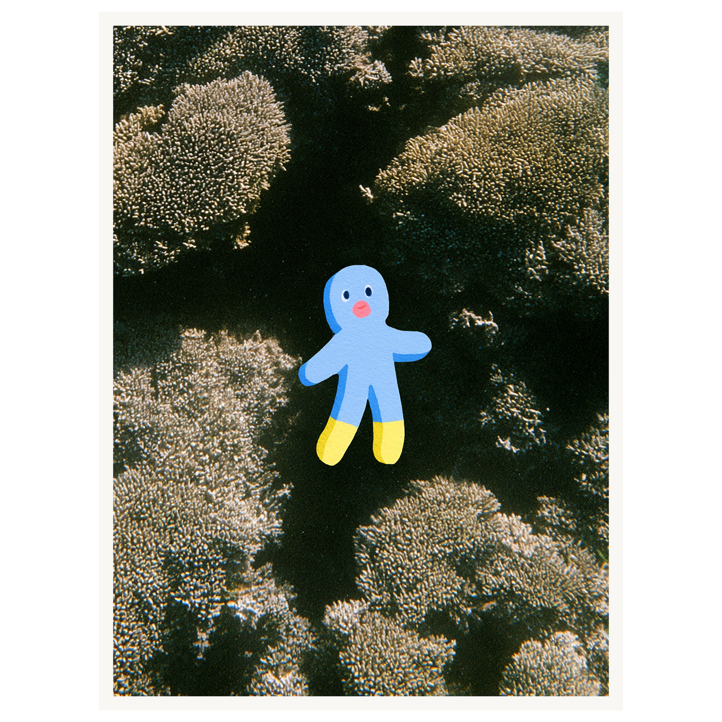 Ocean Wonder — s1_poster_none