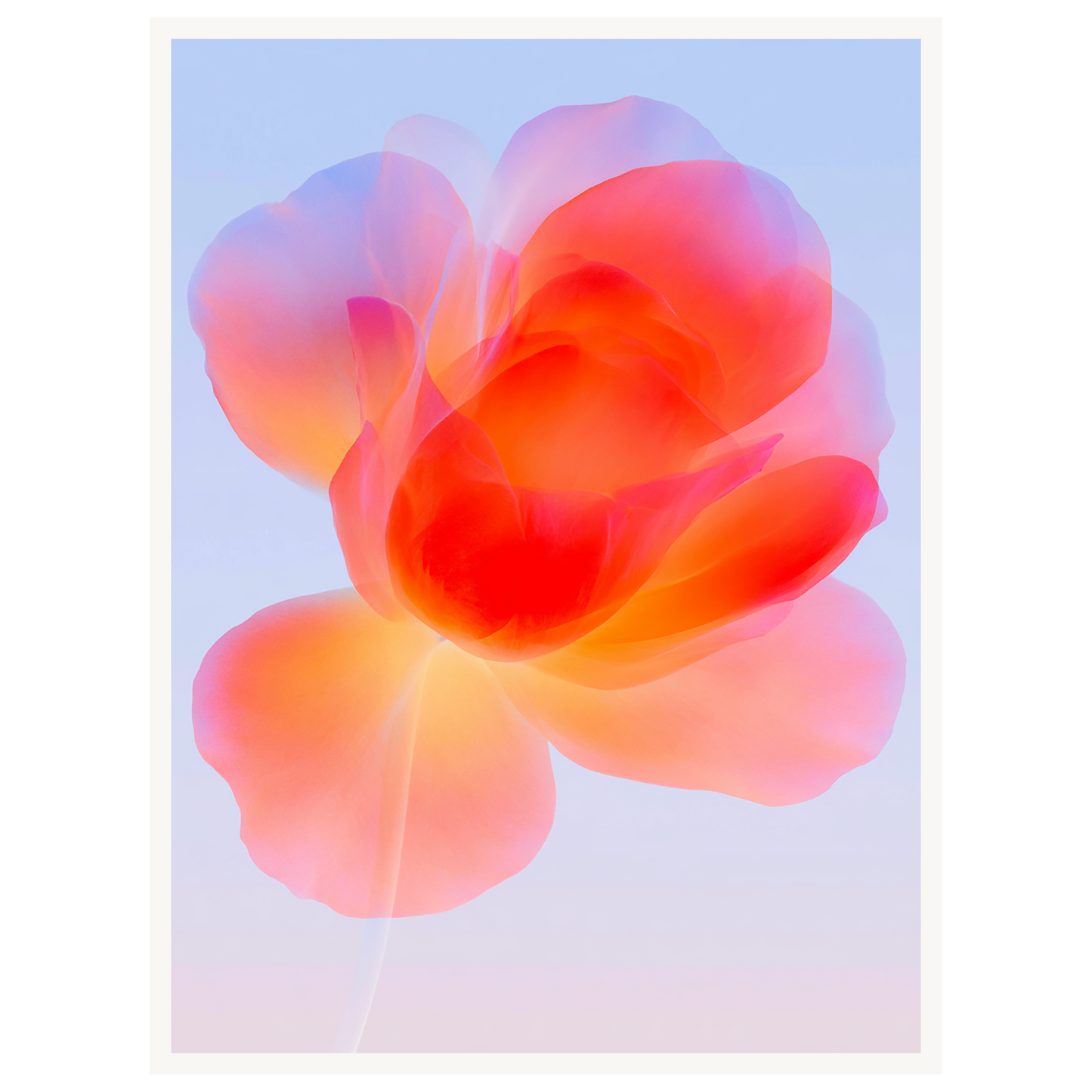 Gentle Bloom — s1_poster_none