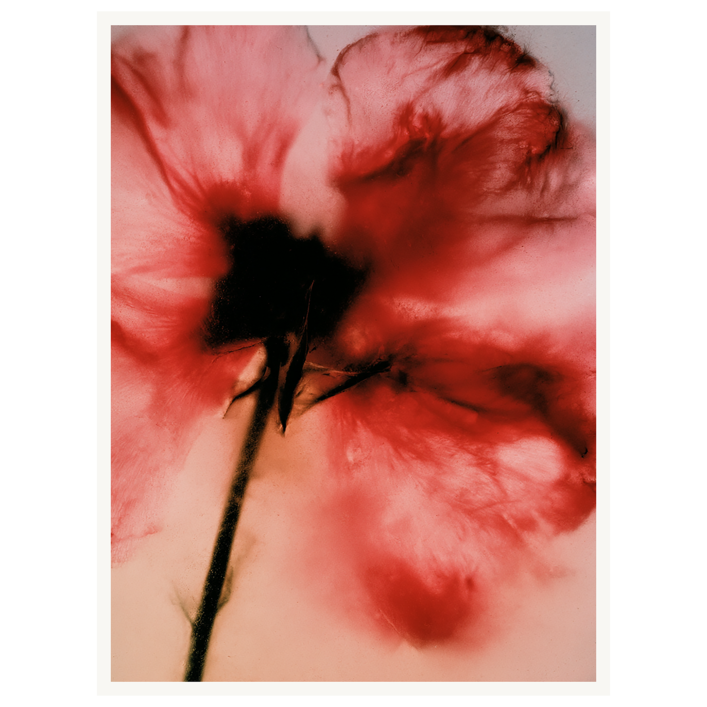 Crimson Whisper — s1_poster_none