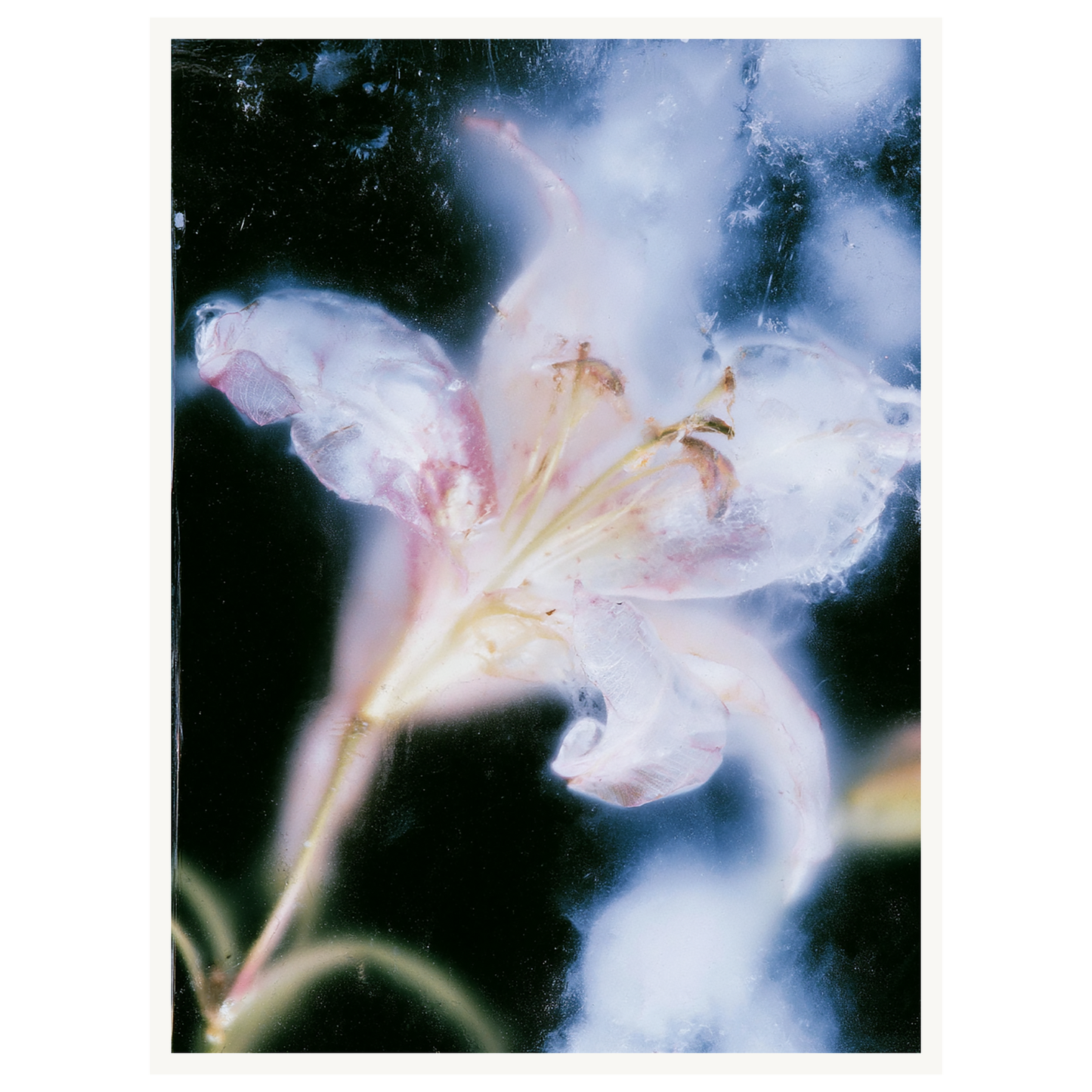 Soft Light — s1_poster_none