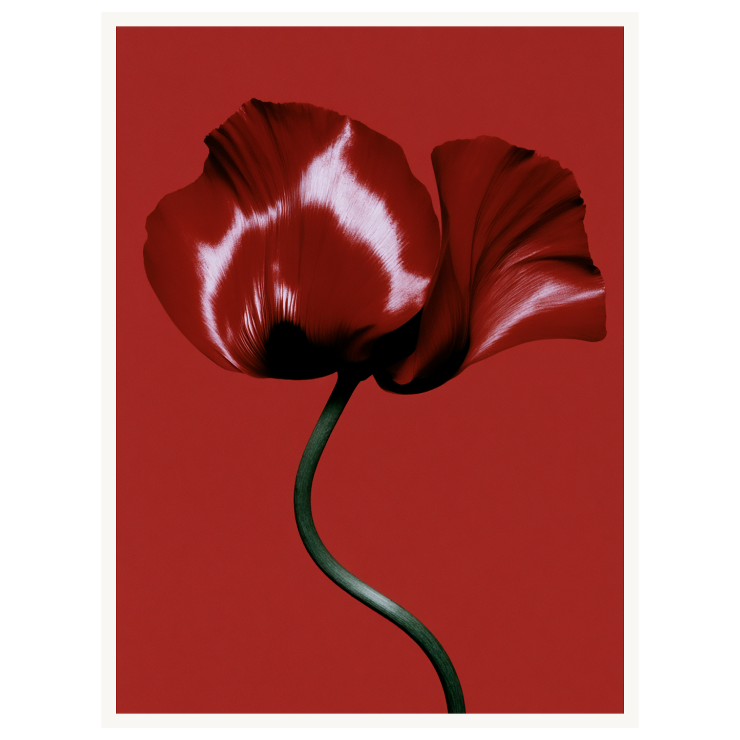 Velvet Poppy — s1_poster_none