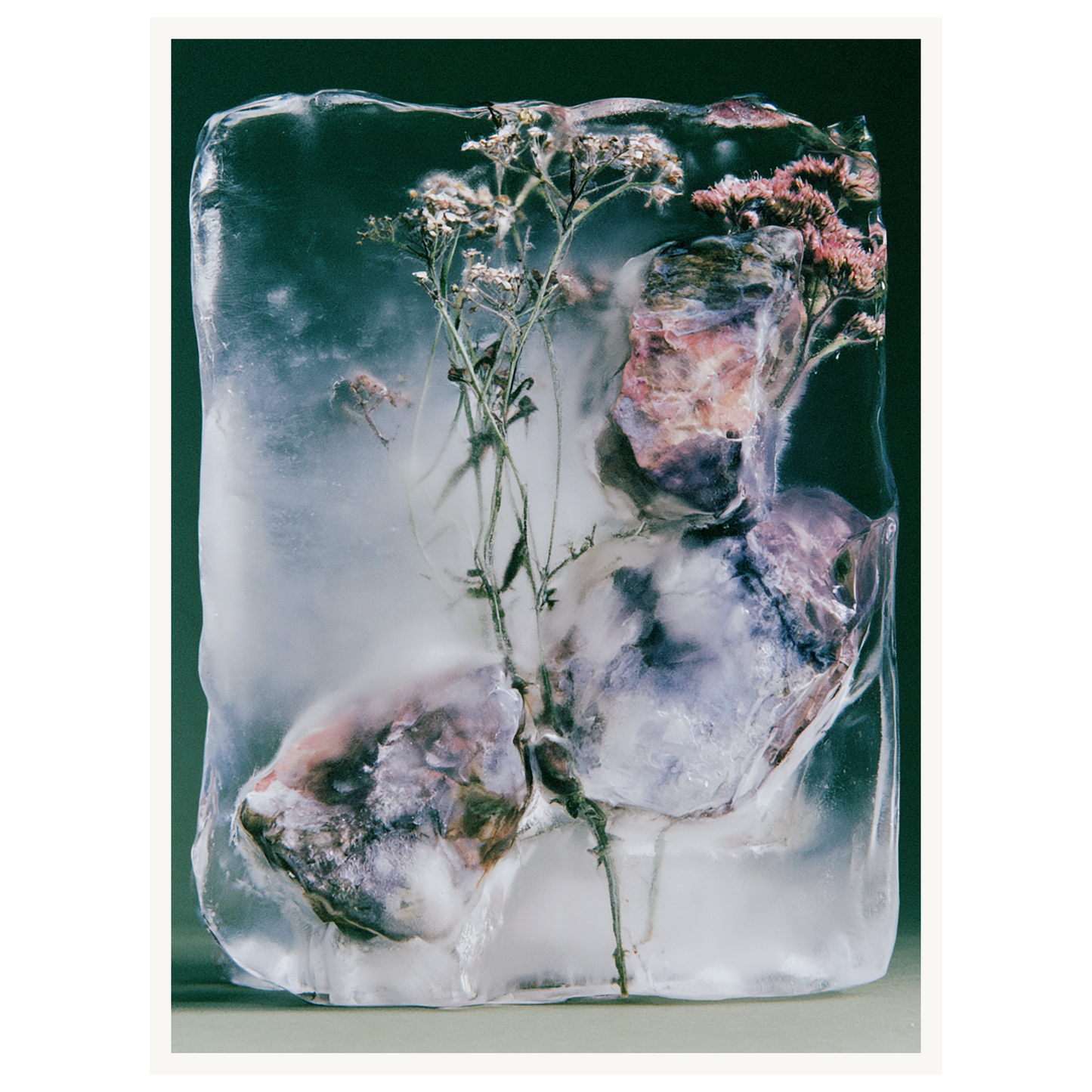 Winter Bloom — s1_poster_none