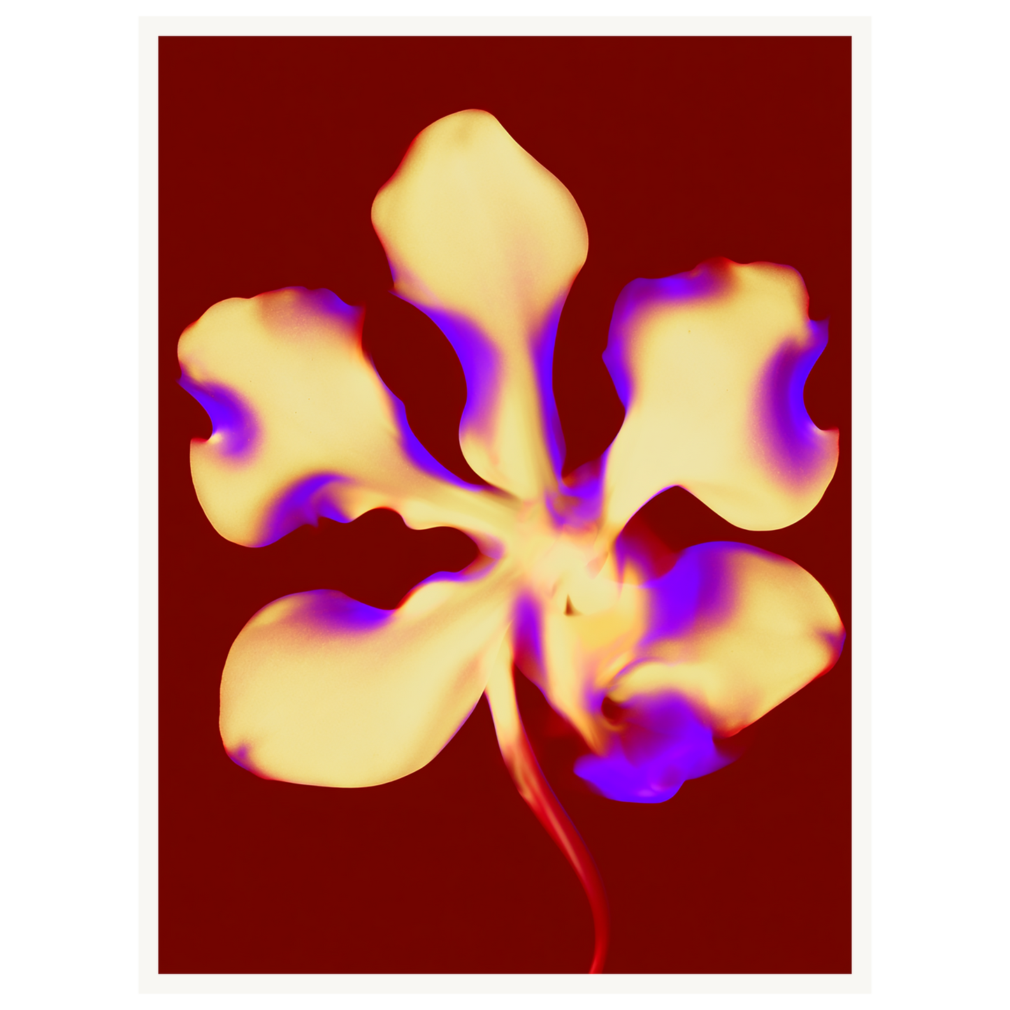 Golden Petal — s1_poster_none
